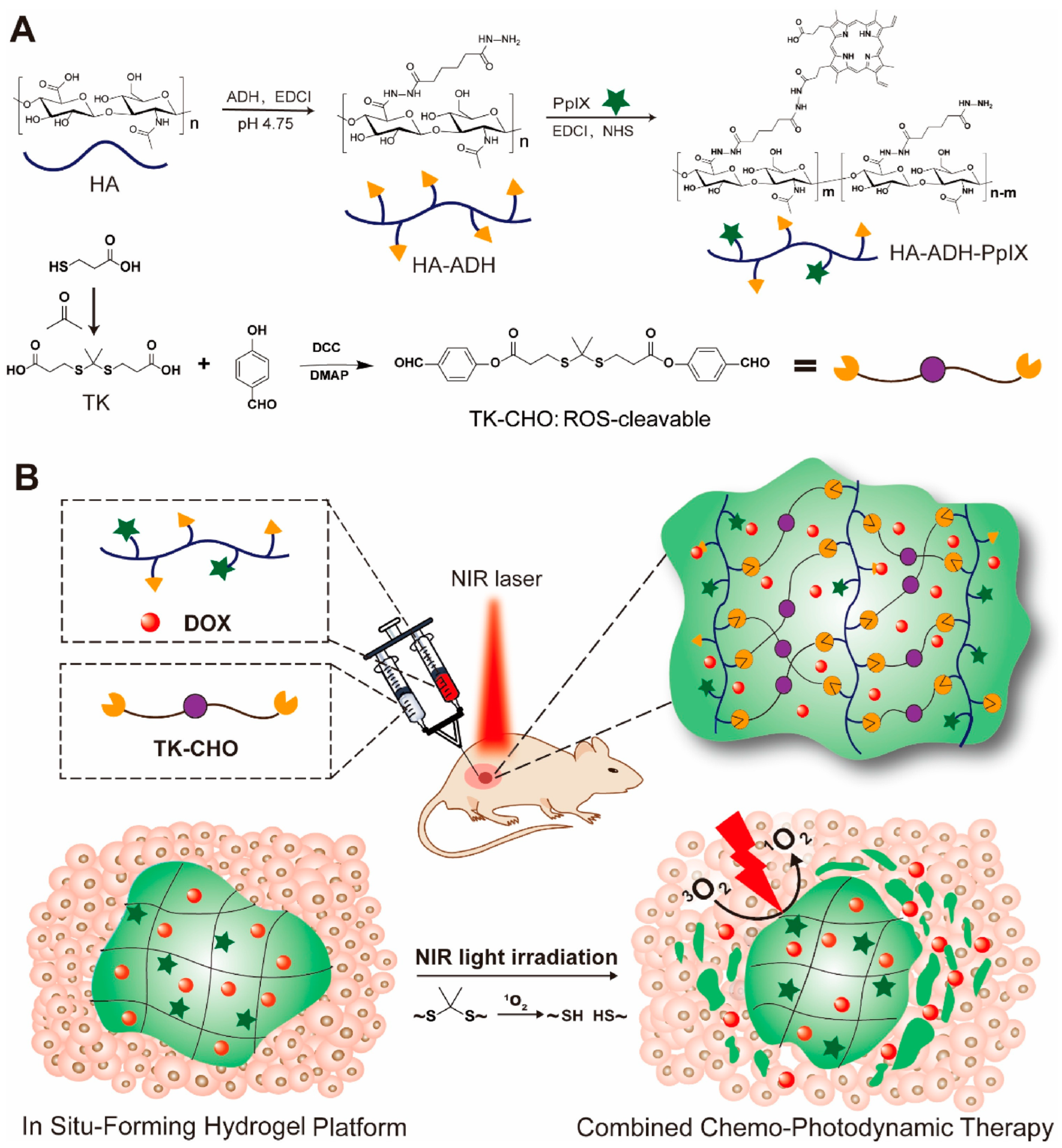 Pharmaceutics 15 02370 g015