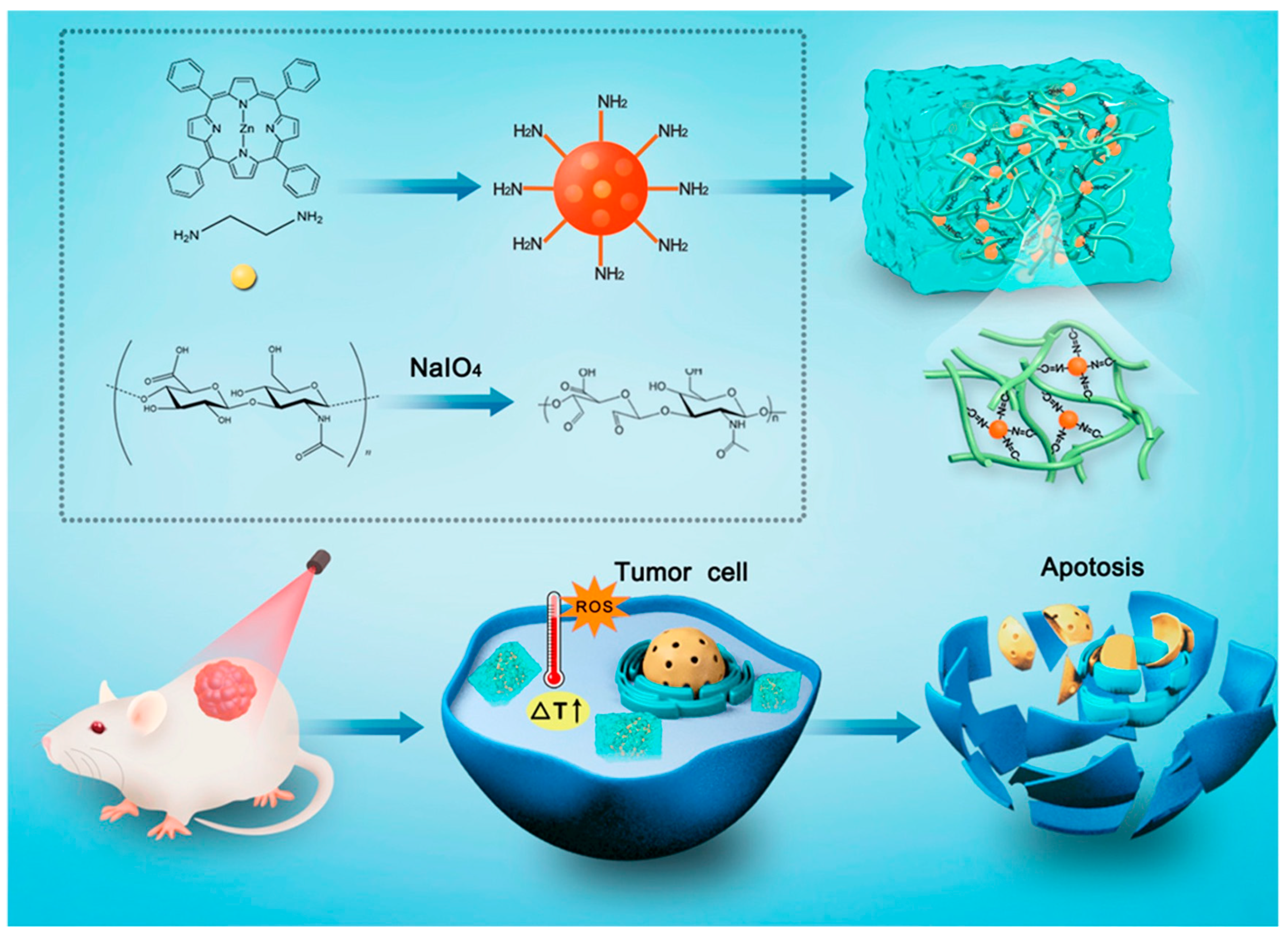 Pharmaceutics 15 02370 g016
