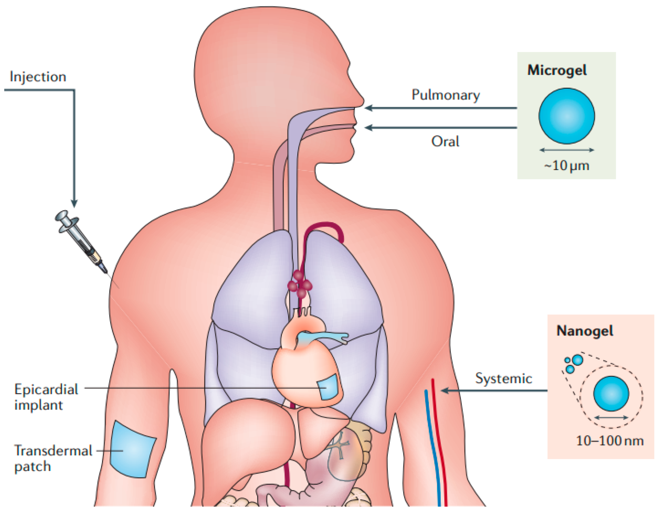 Pharmaceutics 15 02370 g017