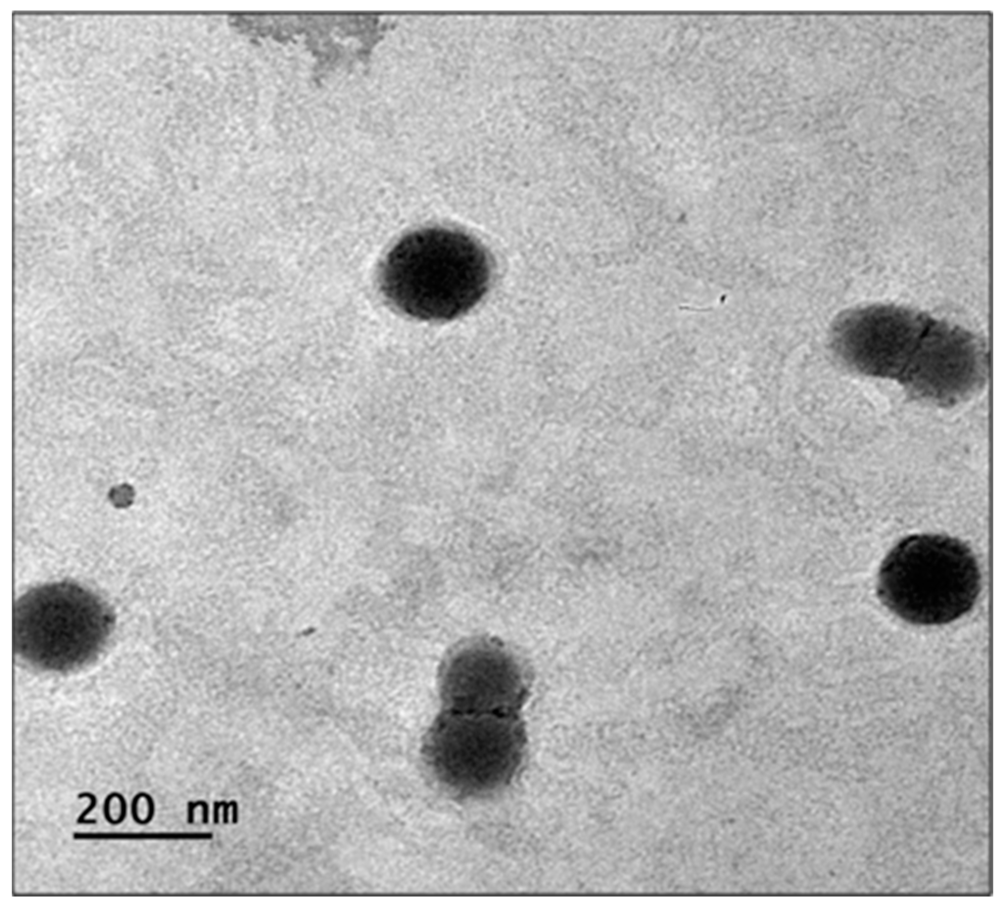 Pharmaceutics 15 02373 g010