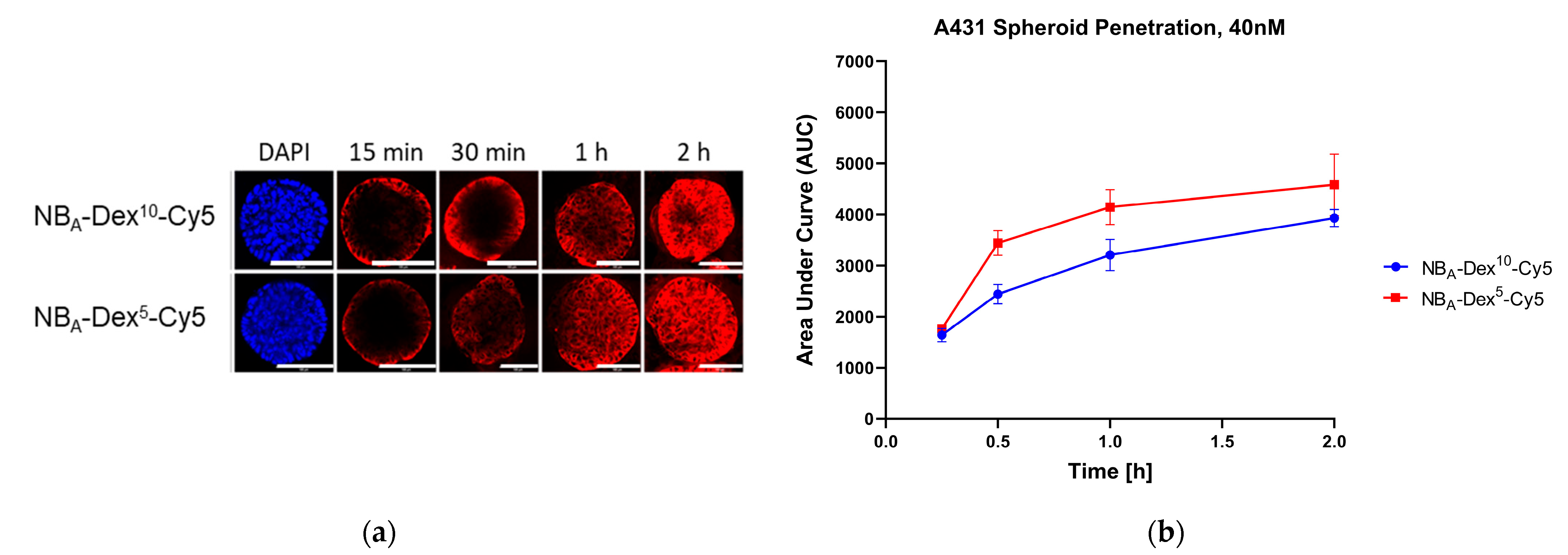 Pharmaceutics 15 02374 g005a