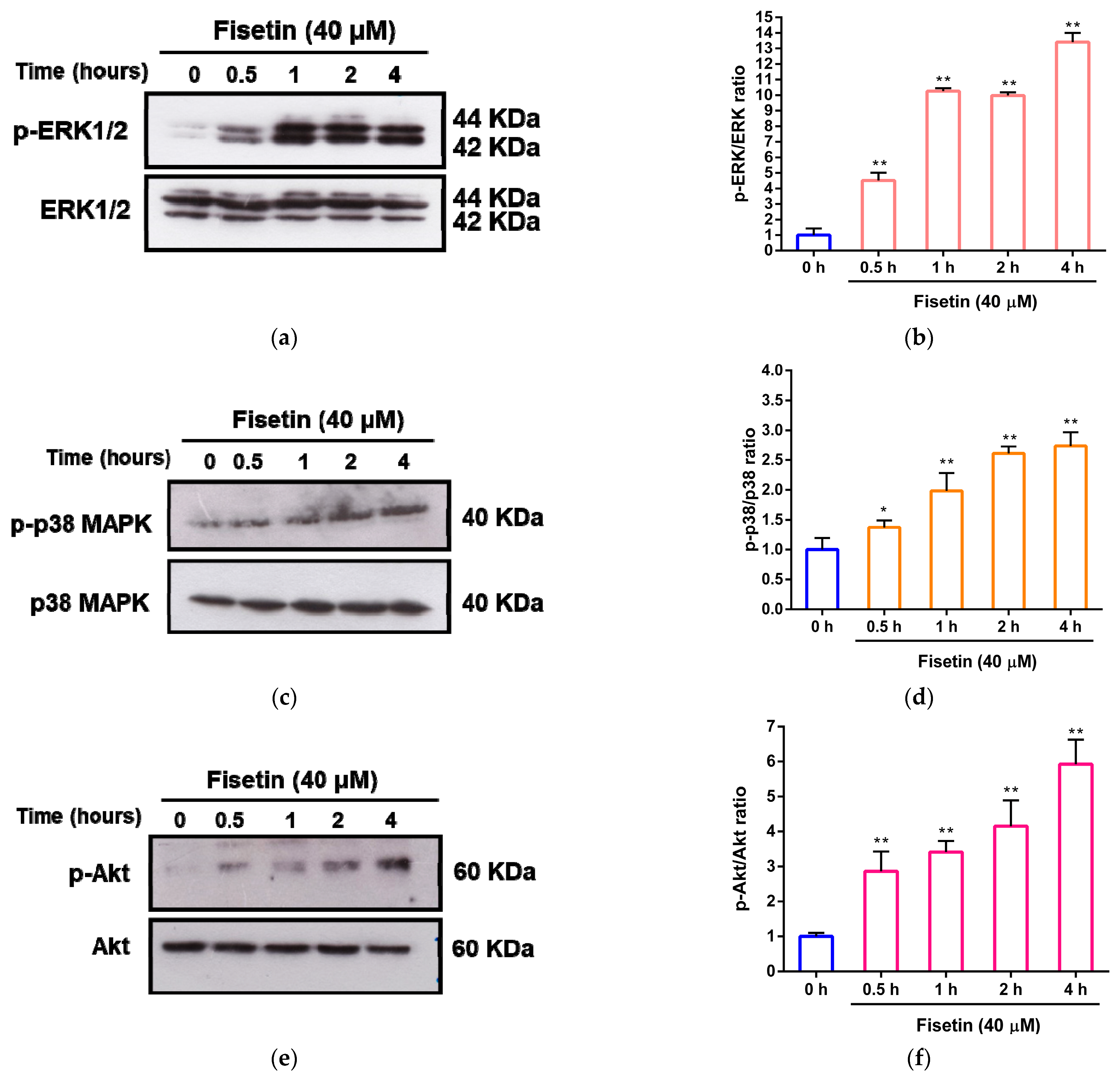 Pharmaceutics 15 02376 g005