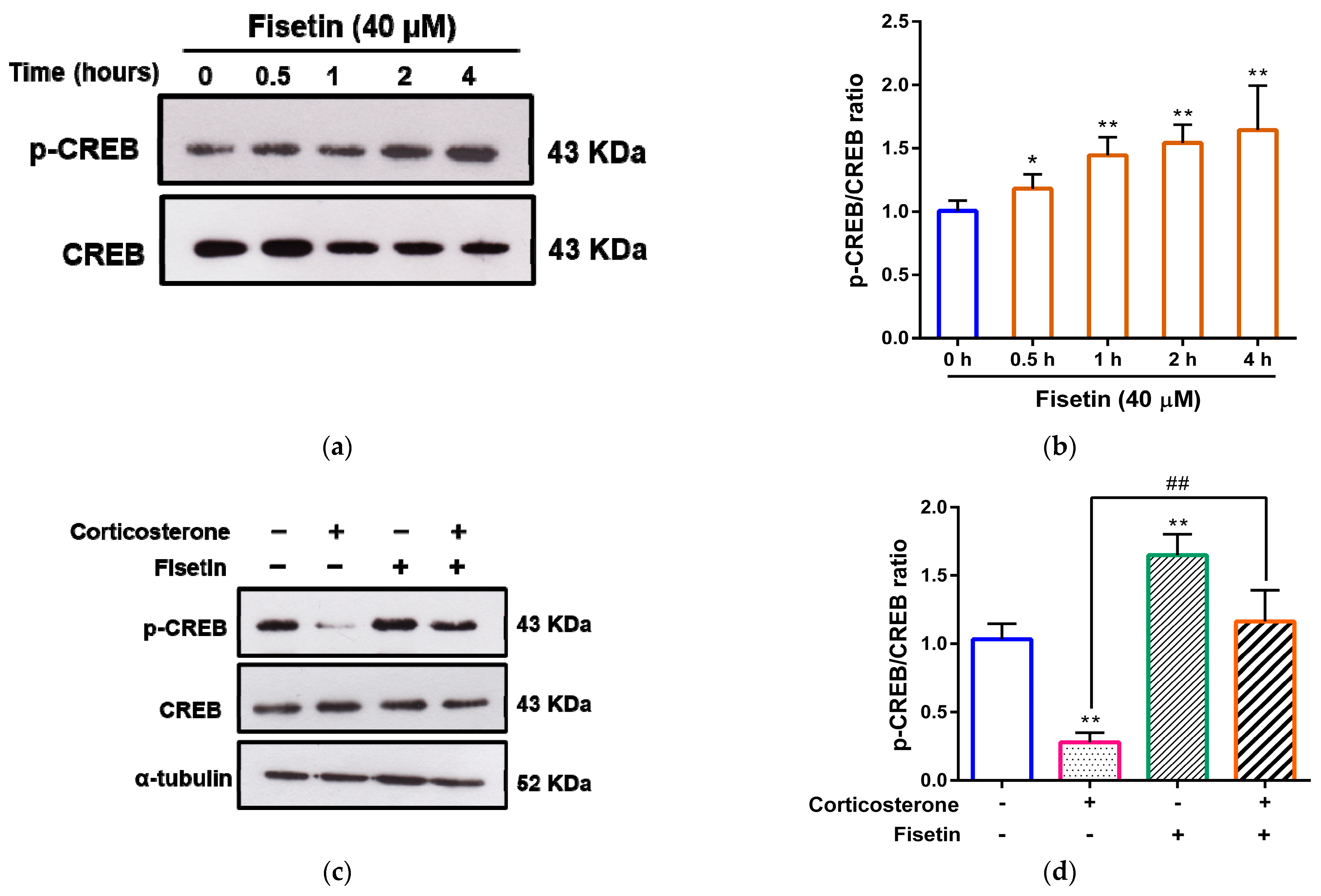 Pharmaceutics 15 02376 g006