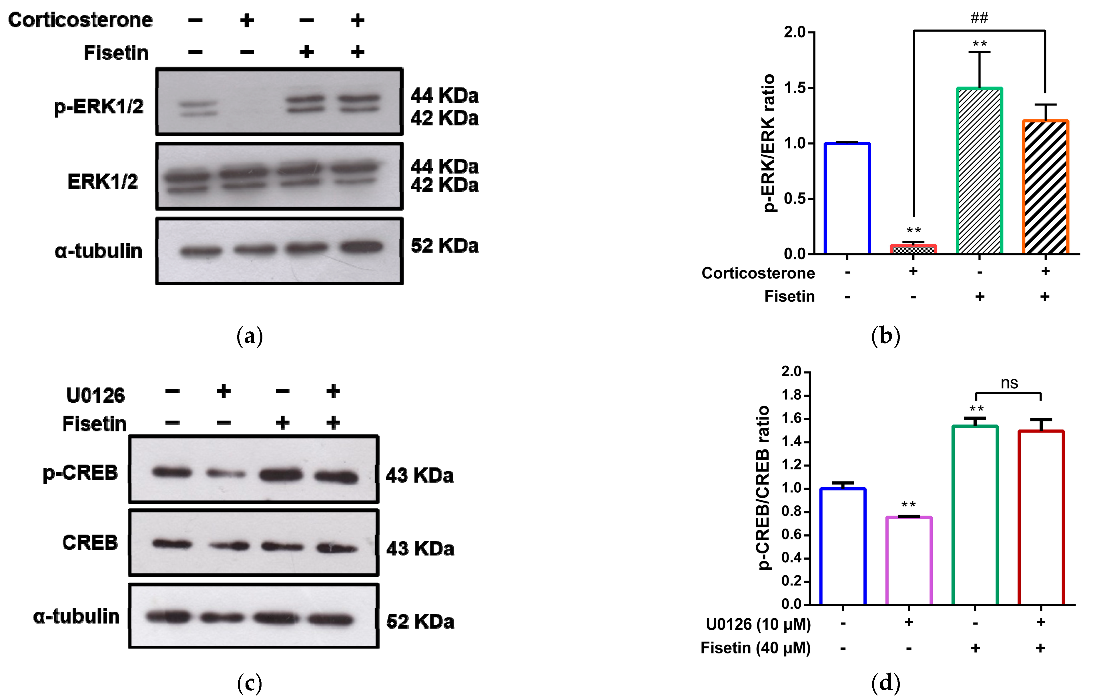 Pharmaceutics 15 02376 g007