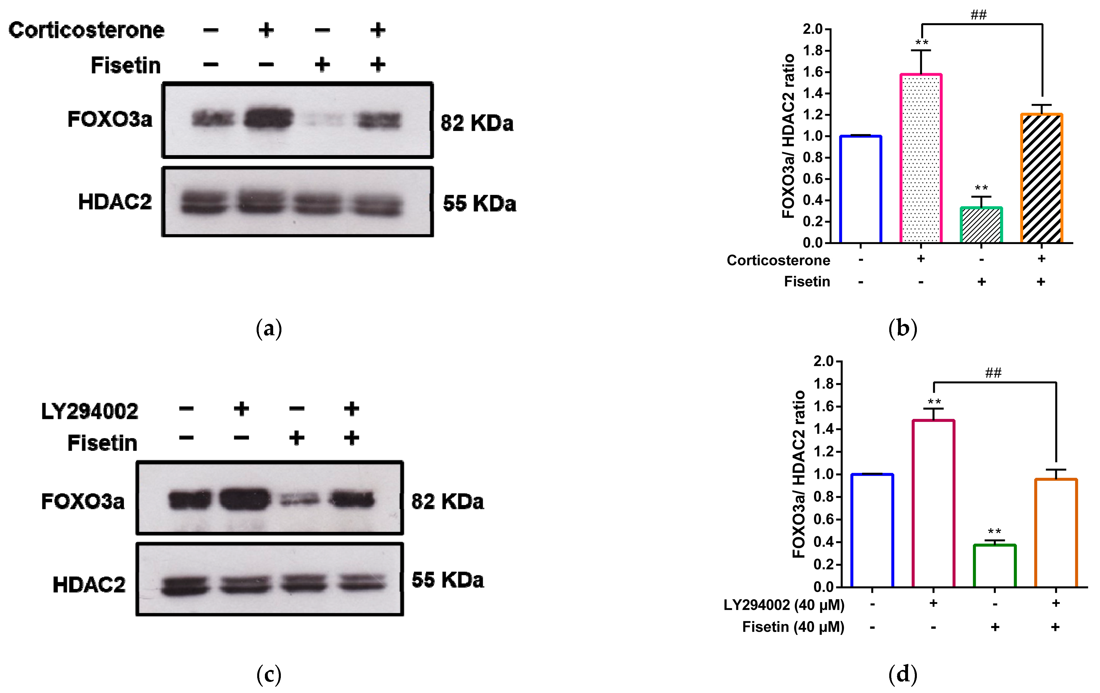 Pharmaceutics 15 02376 g009