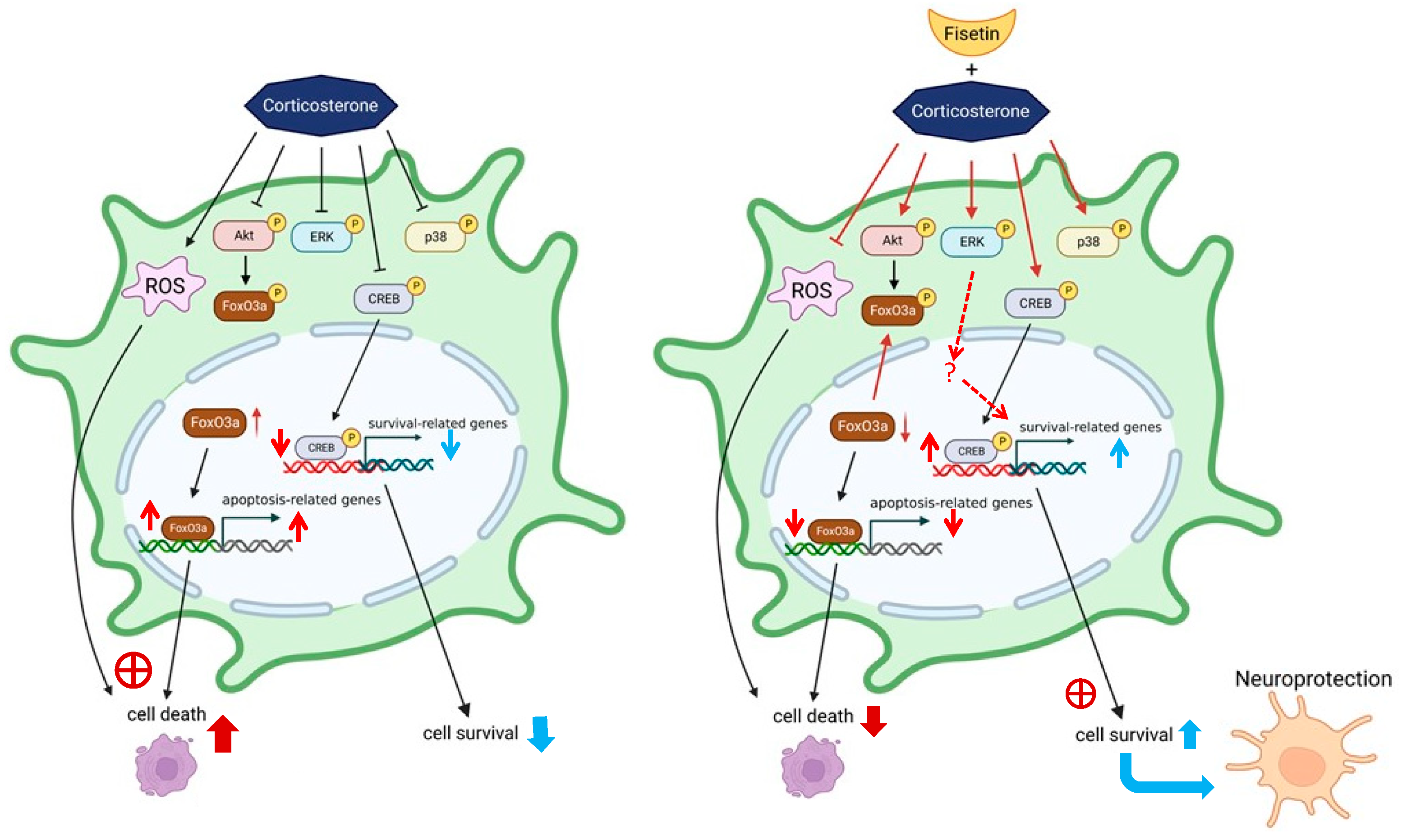 Pharmaceutics 15 02376 g010