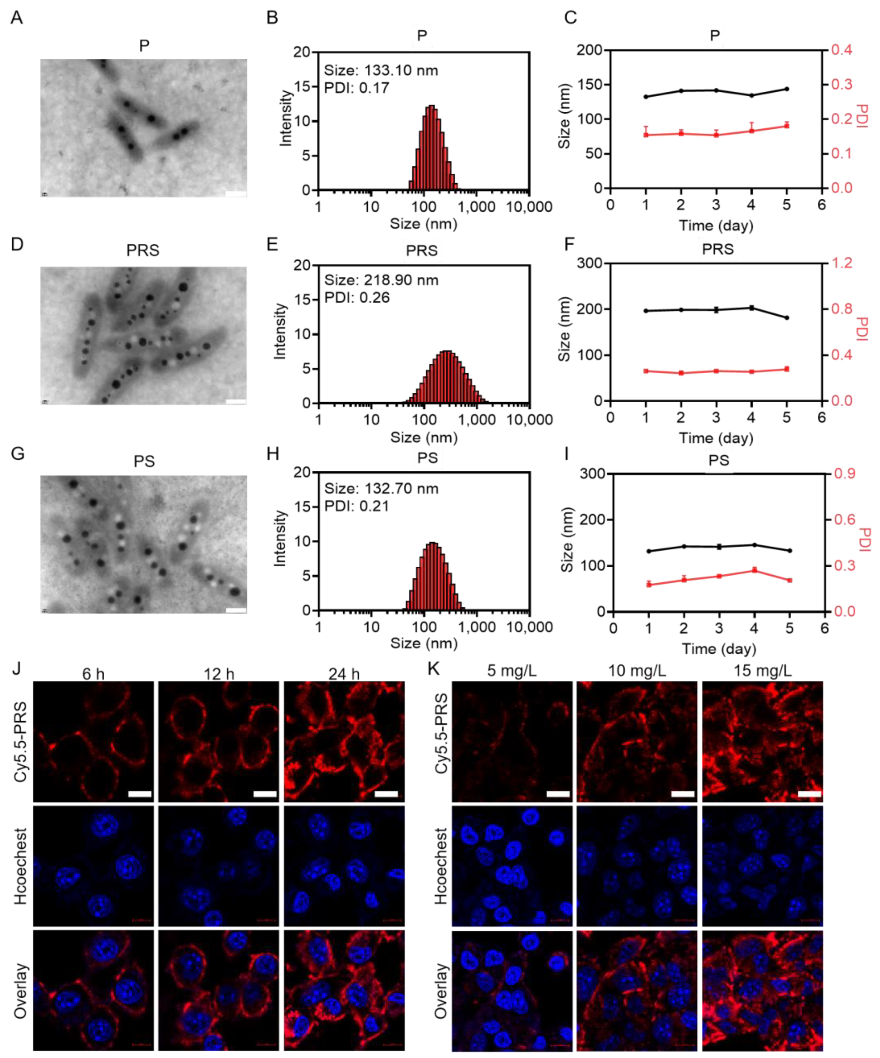 Pharmaceutics 15 02377 g001