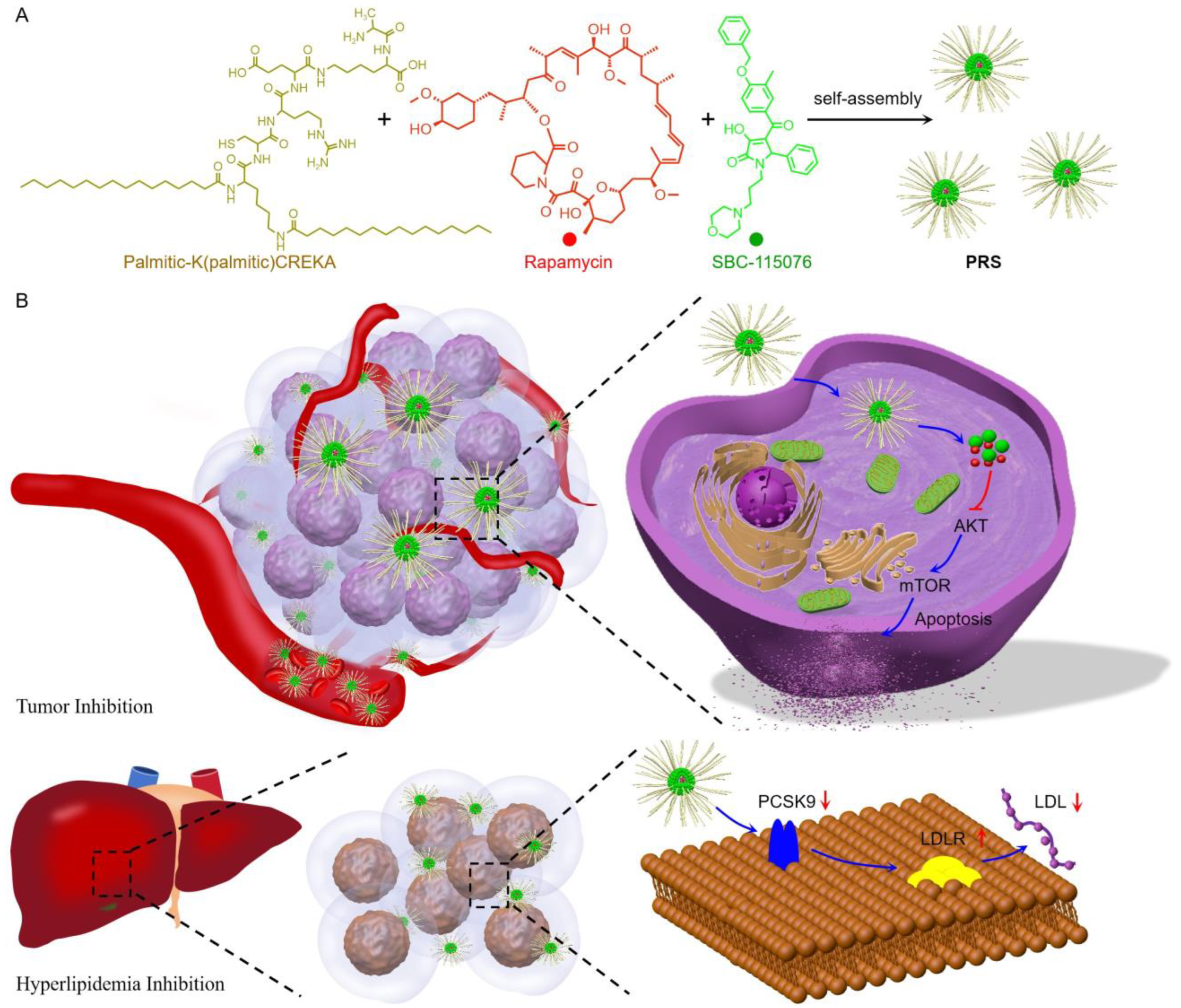Pharmaceutics 15 02377 sch001
