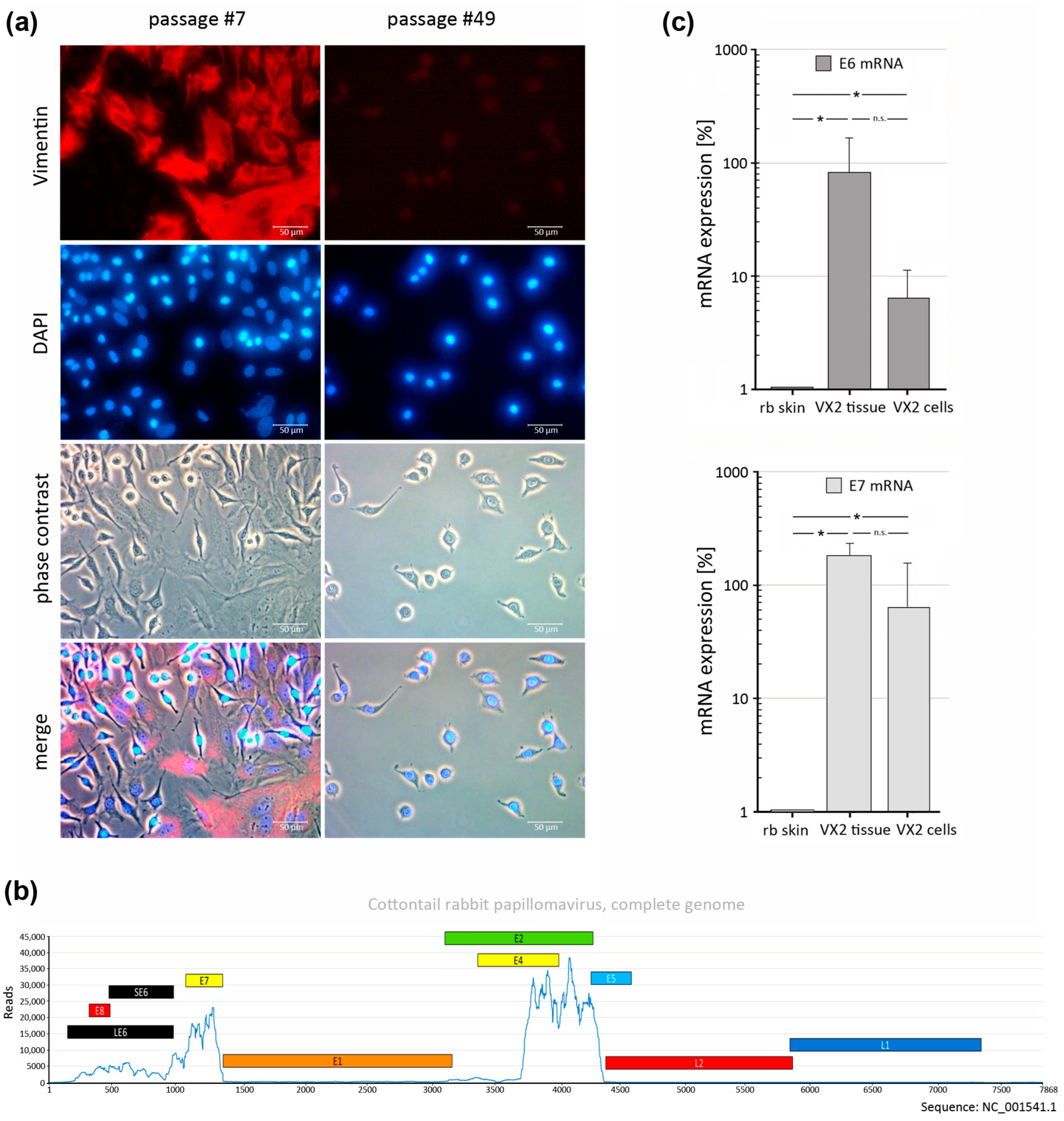 Pharmaceutics 15 02379 g001 Pharmaceutics 15 02379 g001