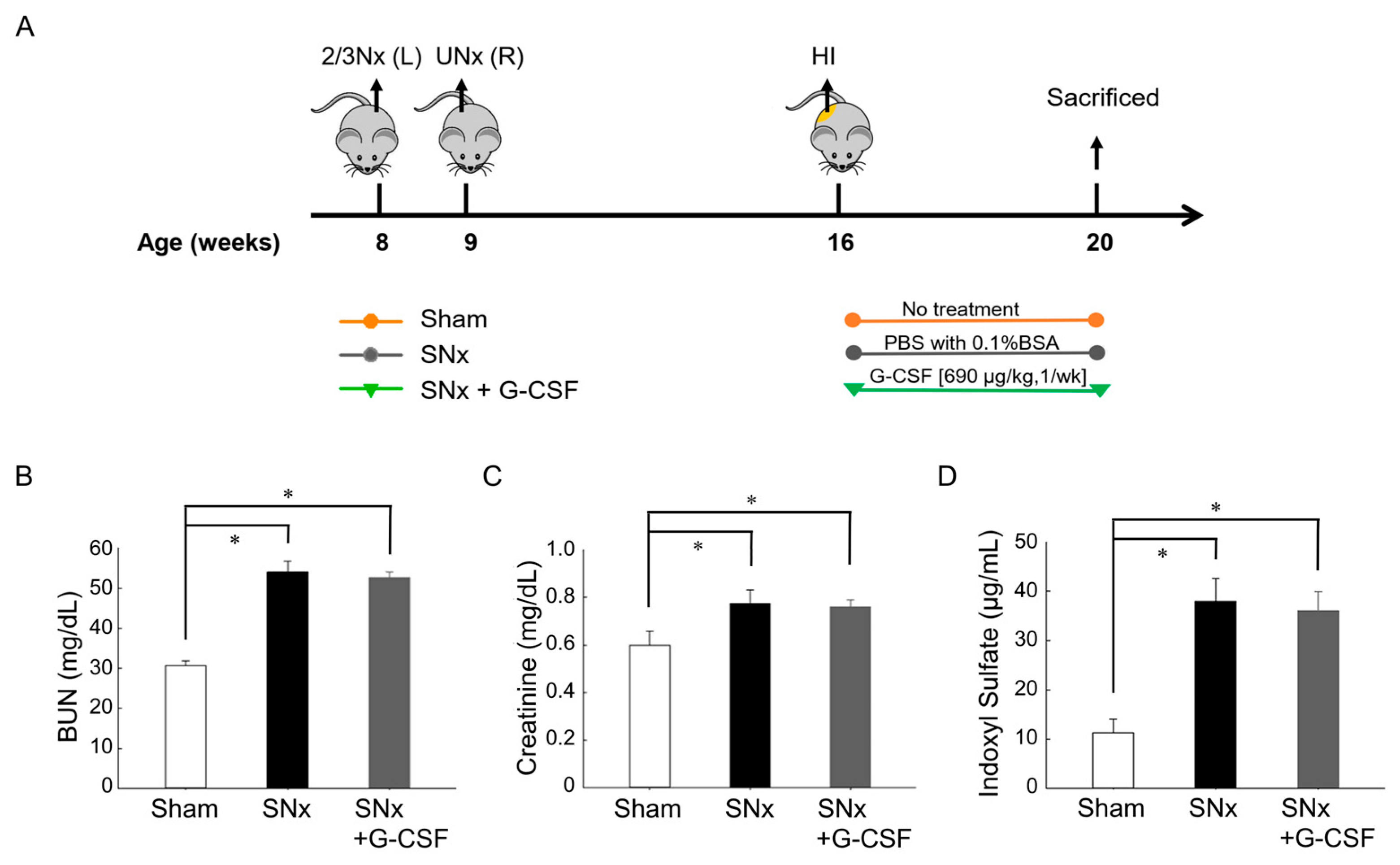 Pharmaceutics 15 02380 g001