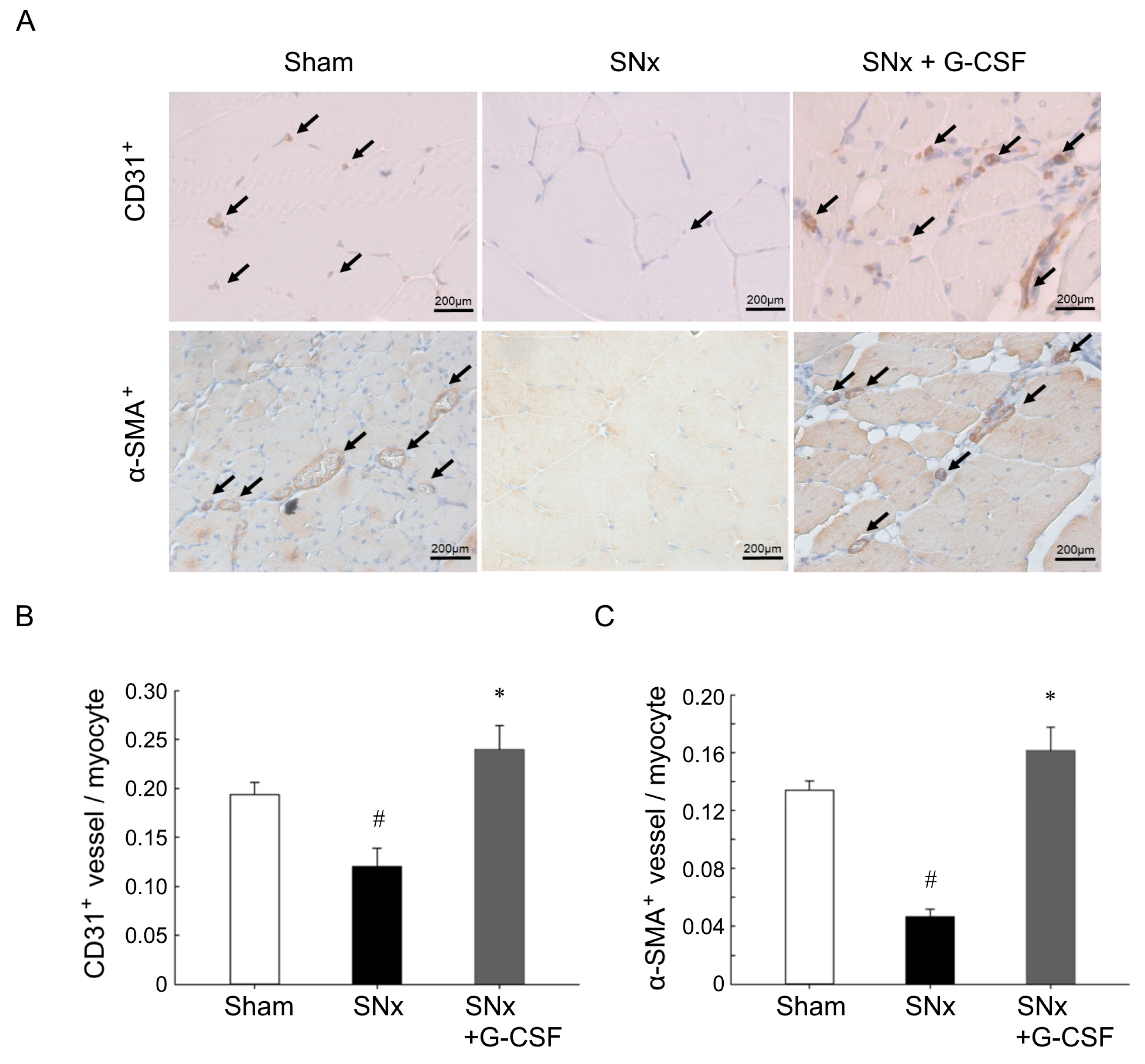Pharmaceutics 15 02380 g003