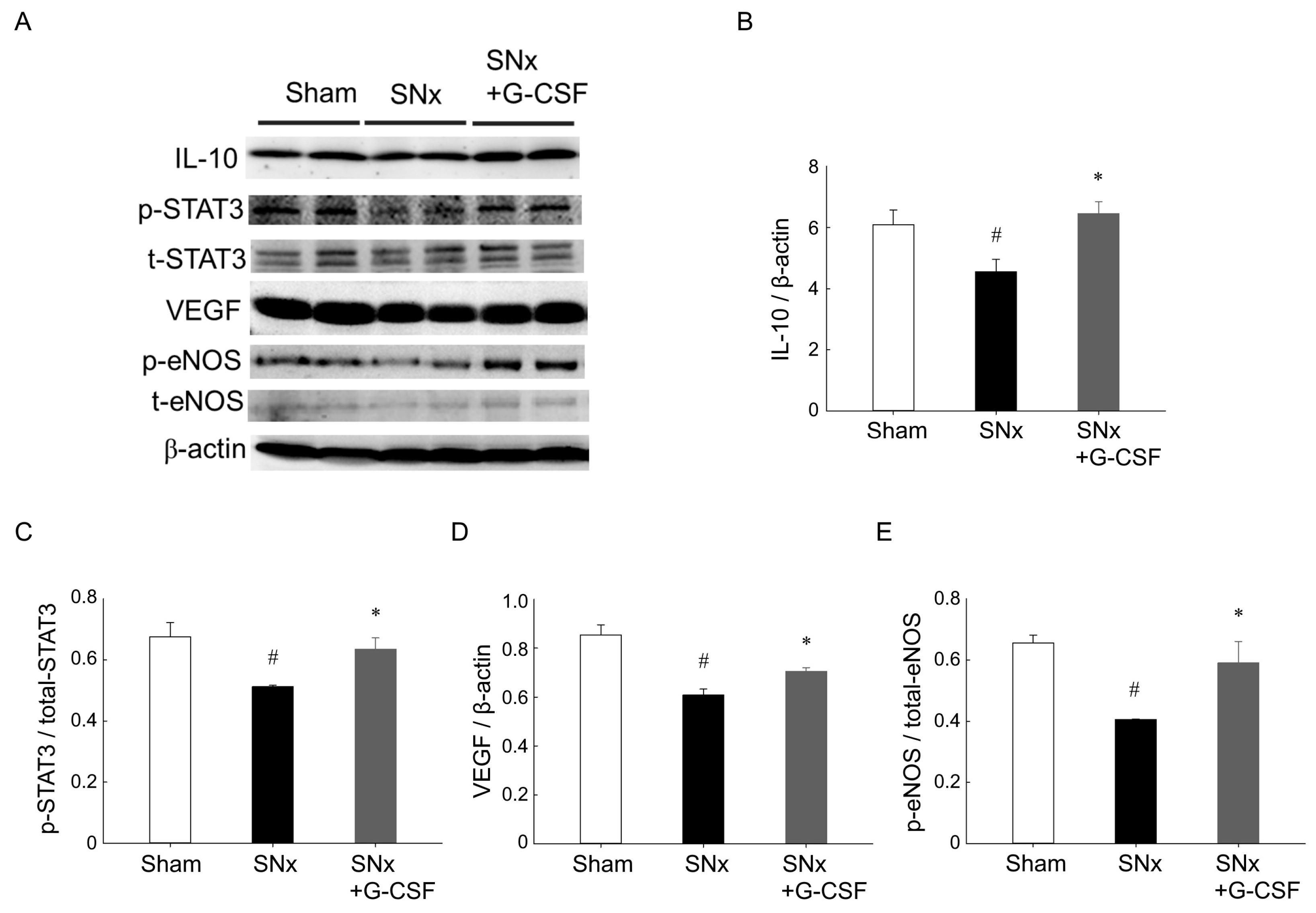Pharmaceutics 15 02380 g004