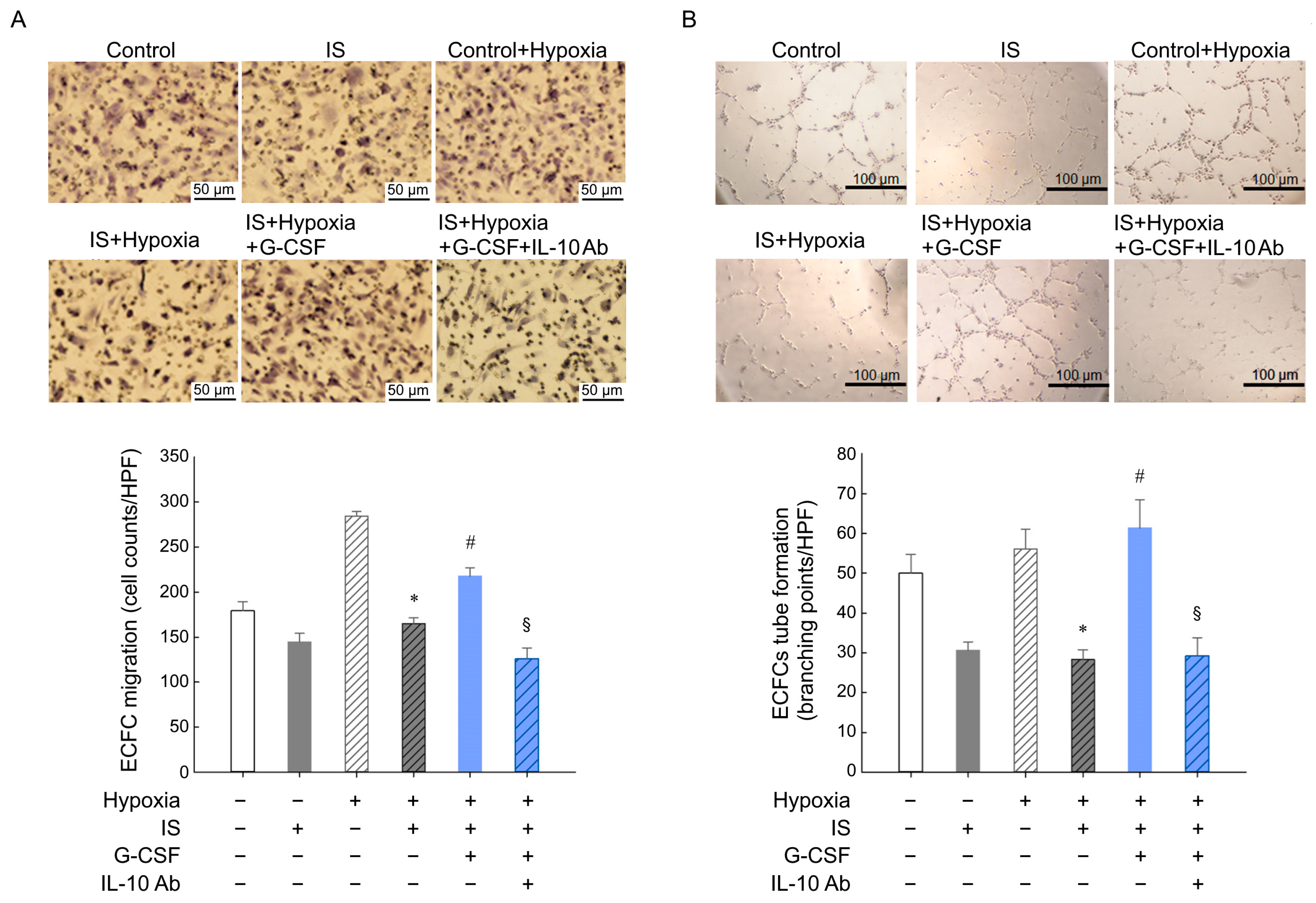 Pharmaceutics 15 02380 g005