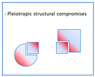 Pharmaceutics 15 02382 i004