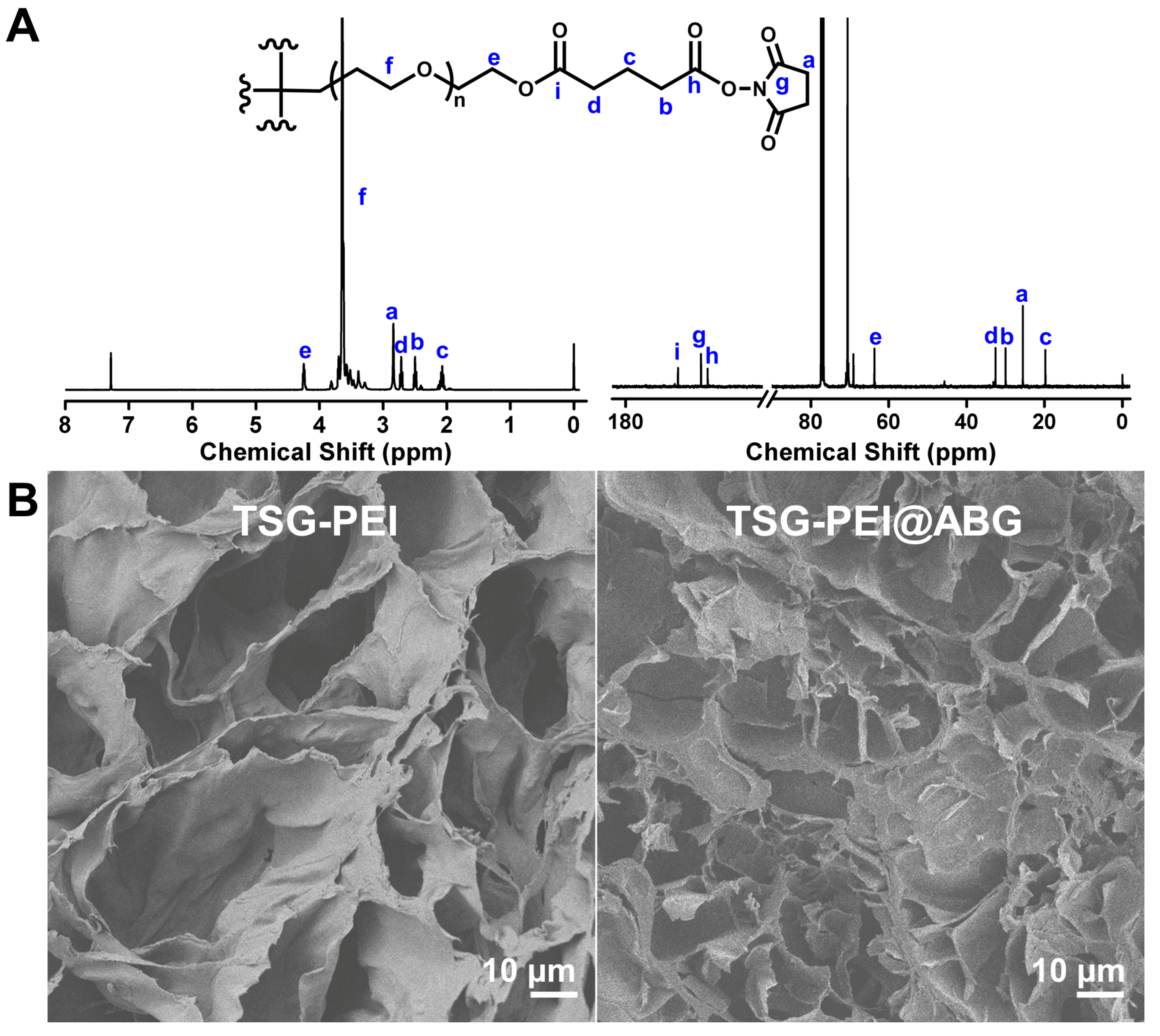 Pharmaceutics 15 02384 g002