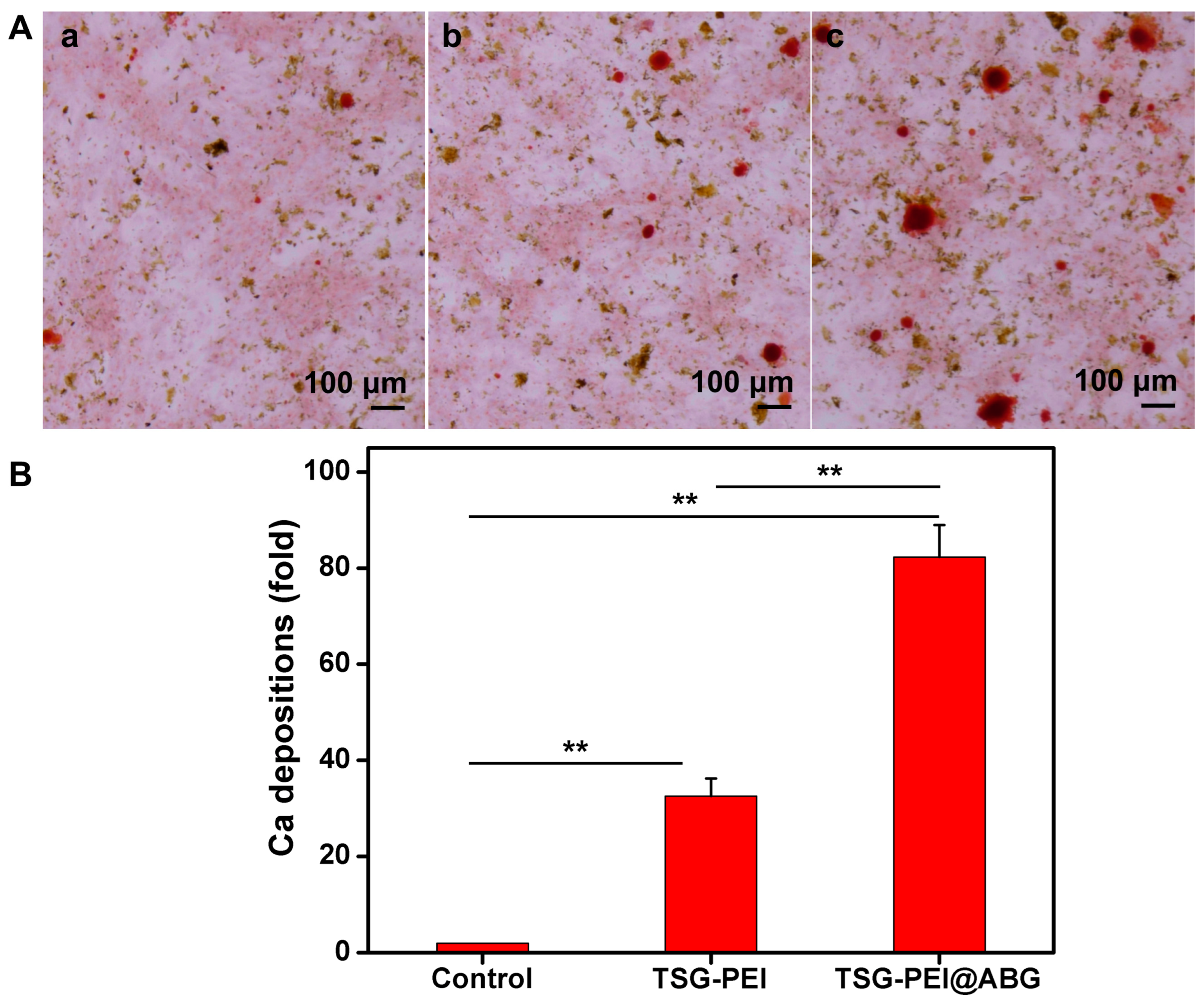 Pharmaceutics 15 02384 g005