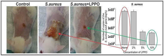 Pharmaceutics 15 02395 g004