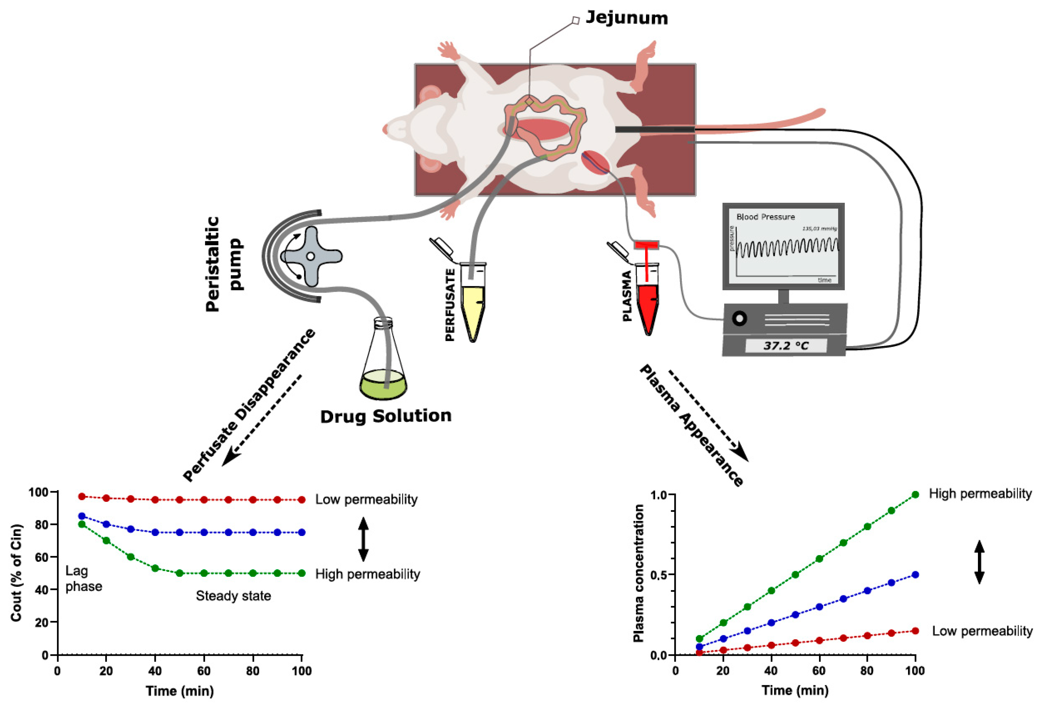 Pharmaceutics 15 02397 g005