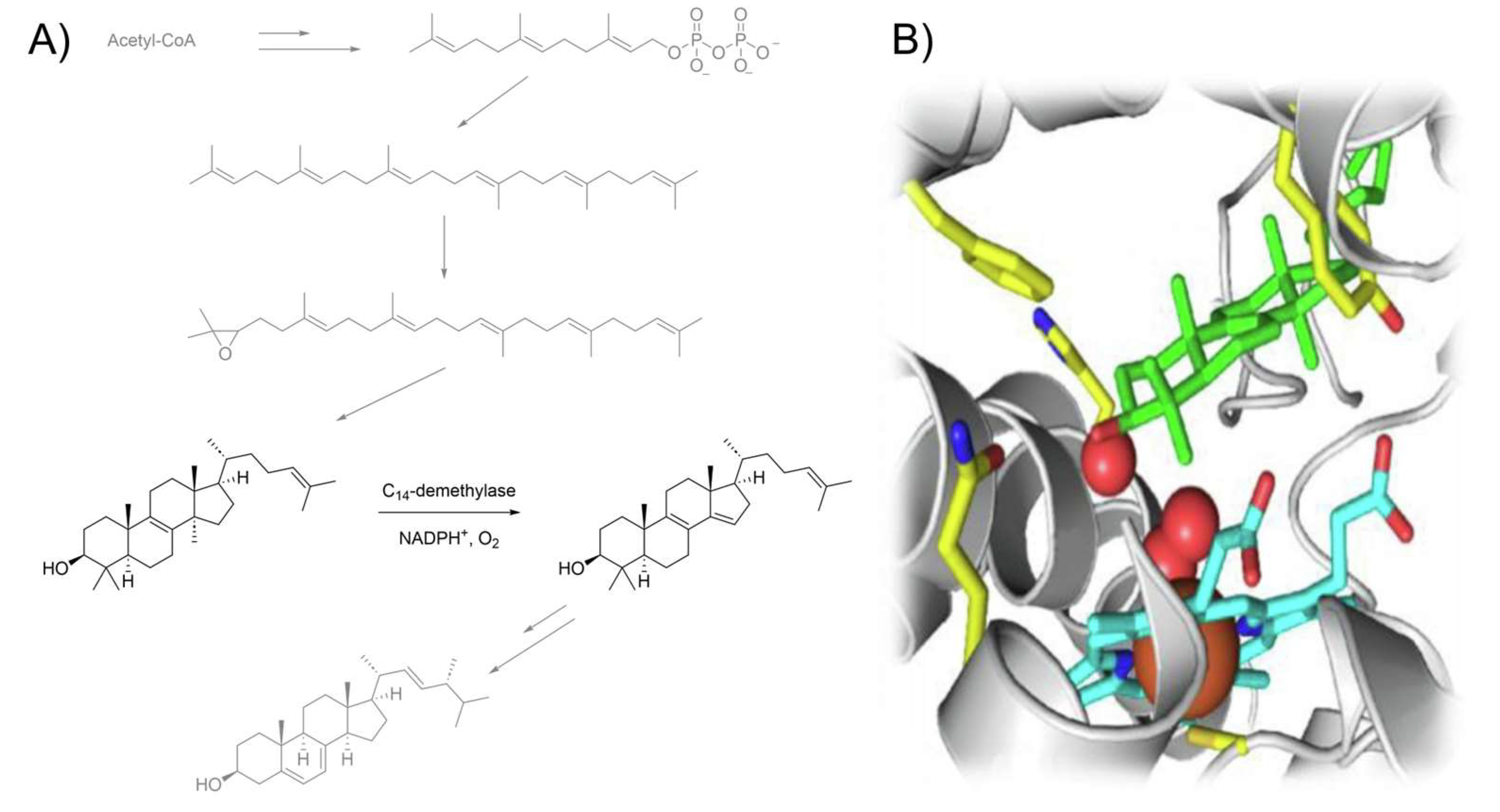 Pharmaceutics 15 02398 g001 Pharmaceutics 15 02398 g001