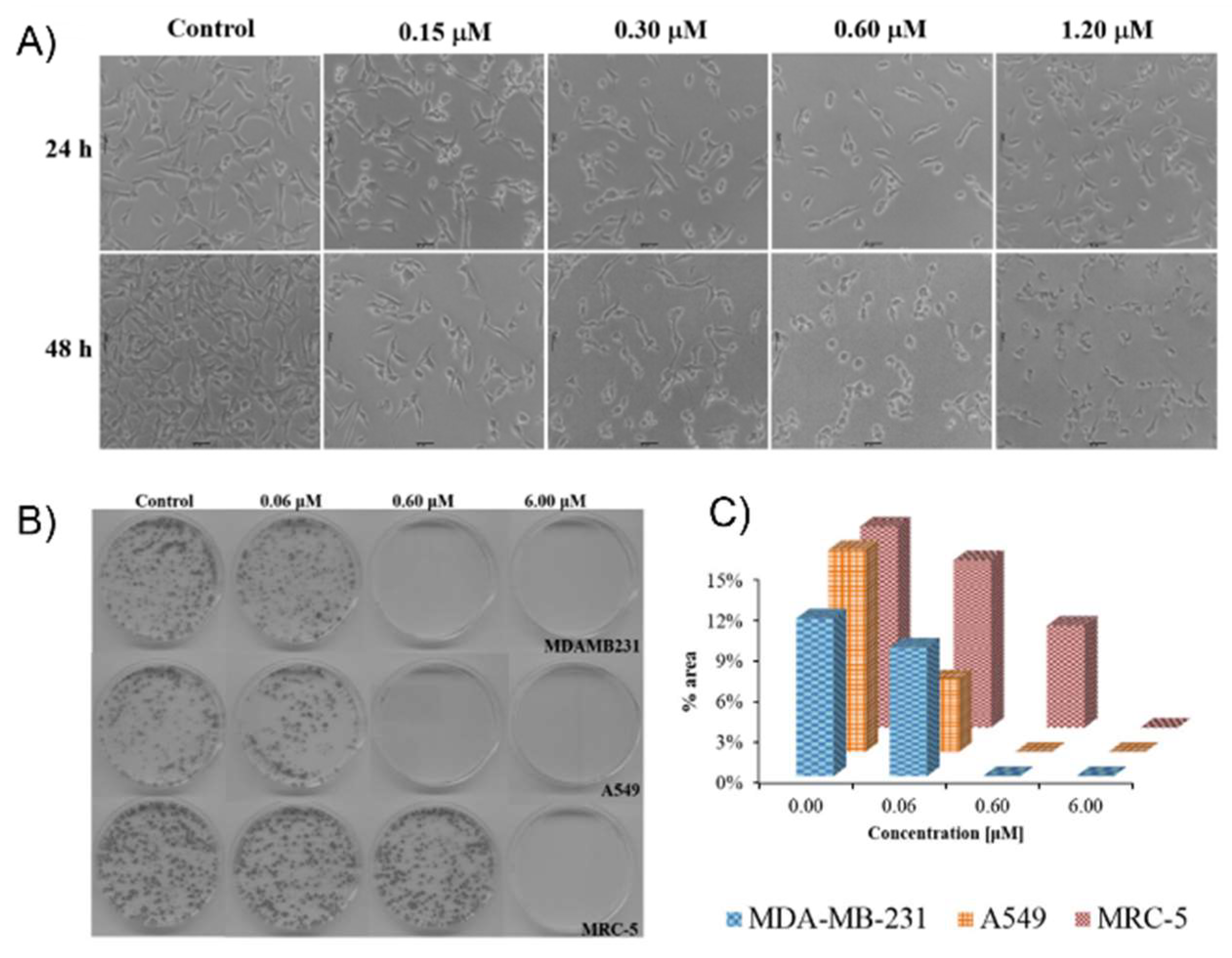 Pharmaceutics 15 02398 g006 Pharmaceutics 15 02398 g006