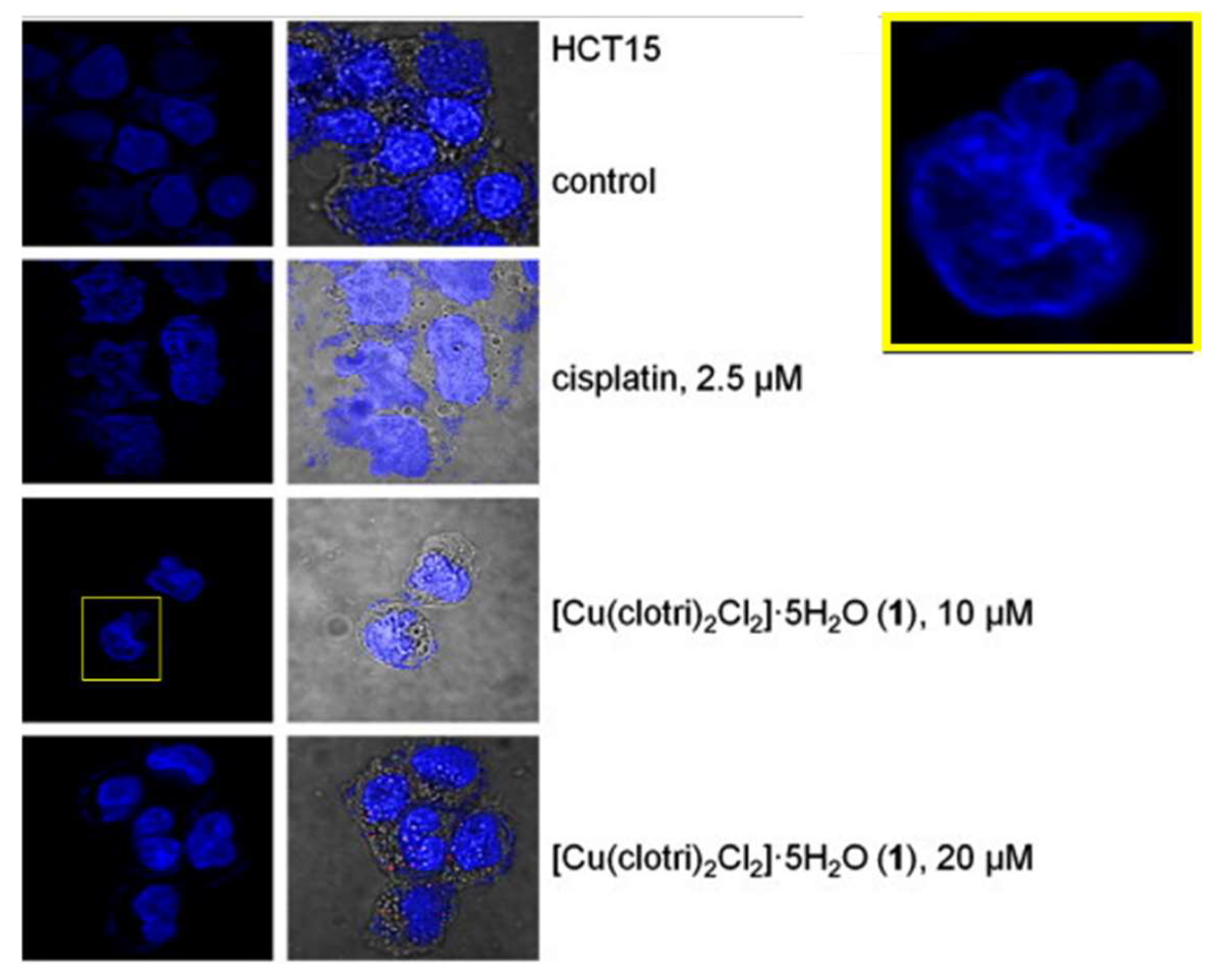 Pharmaceutics 15 02398 g007 Pharmaceutics 15 02398 g007