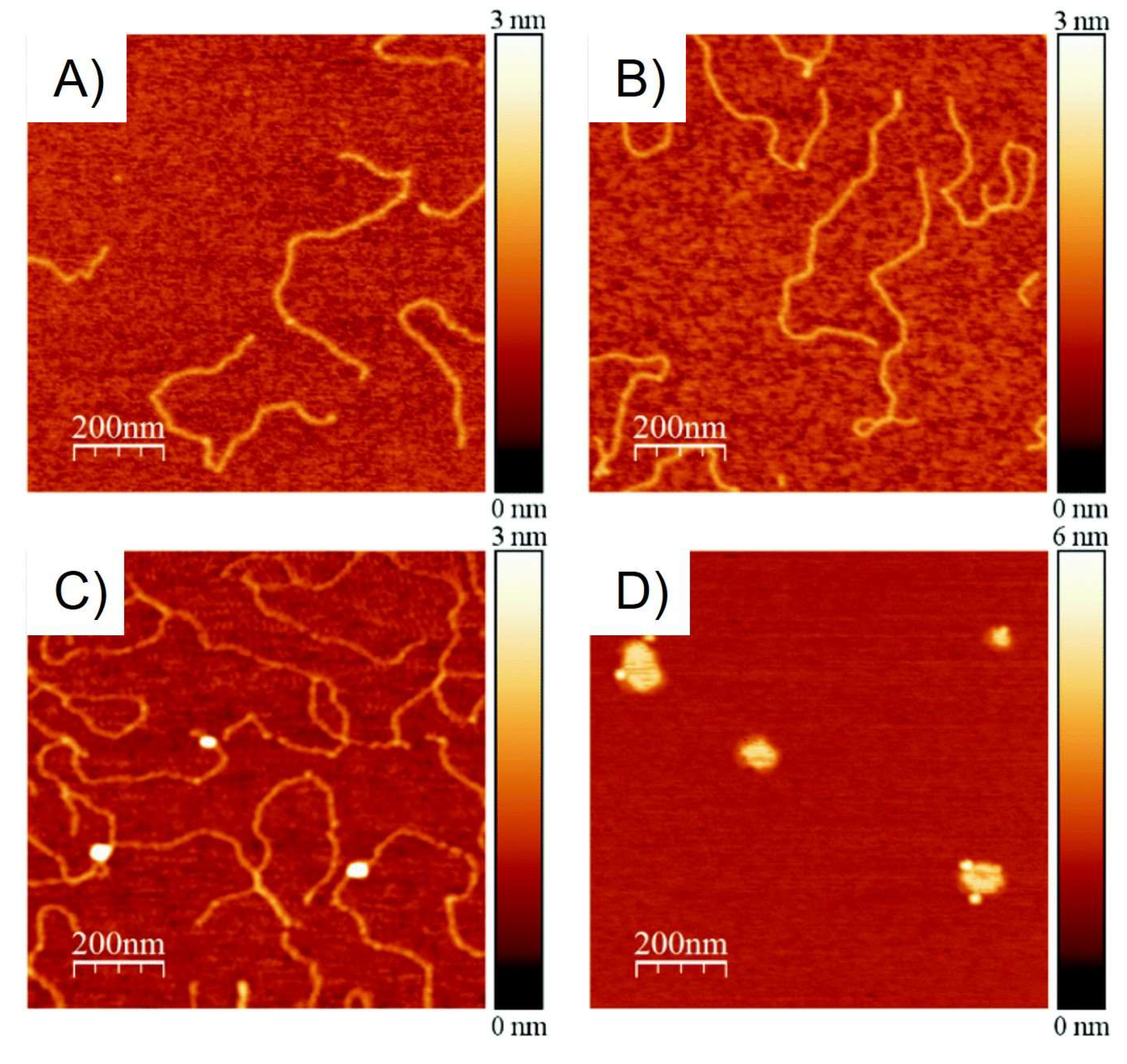 Pharmaceutics 15 02398 g008 Pharmaceutics 15 02398 g008