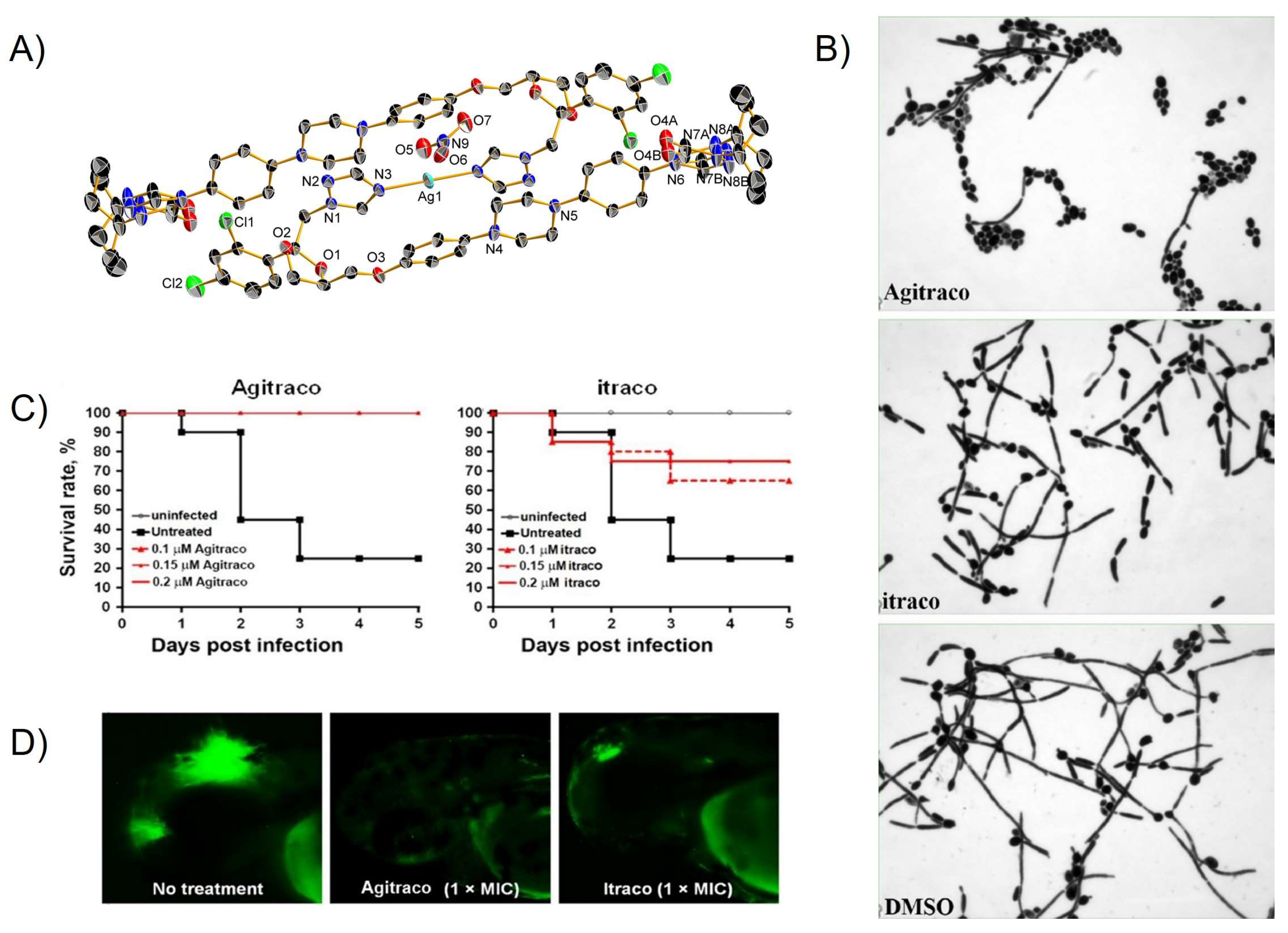 Pharmaceutics 15 02398 g012 Pharmaceutics 15 02398 g012