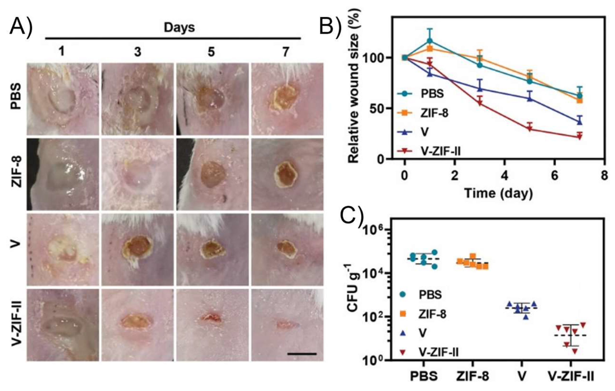 Pharmaceutics 15 02398 g014 Pharmaceutics 15 02398 g014