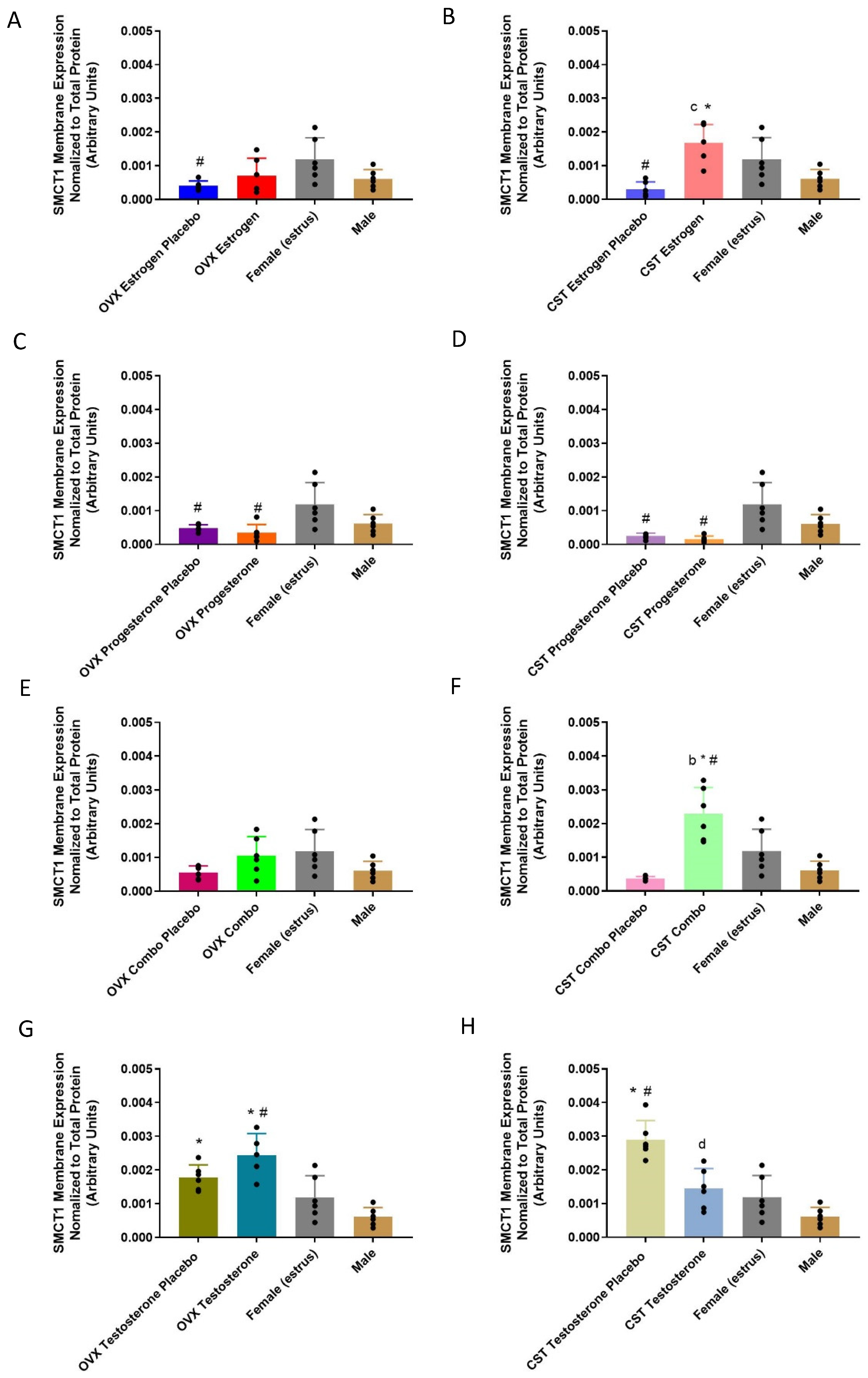 Pharmaceutics 15 02404 g008