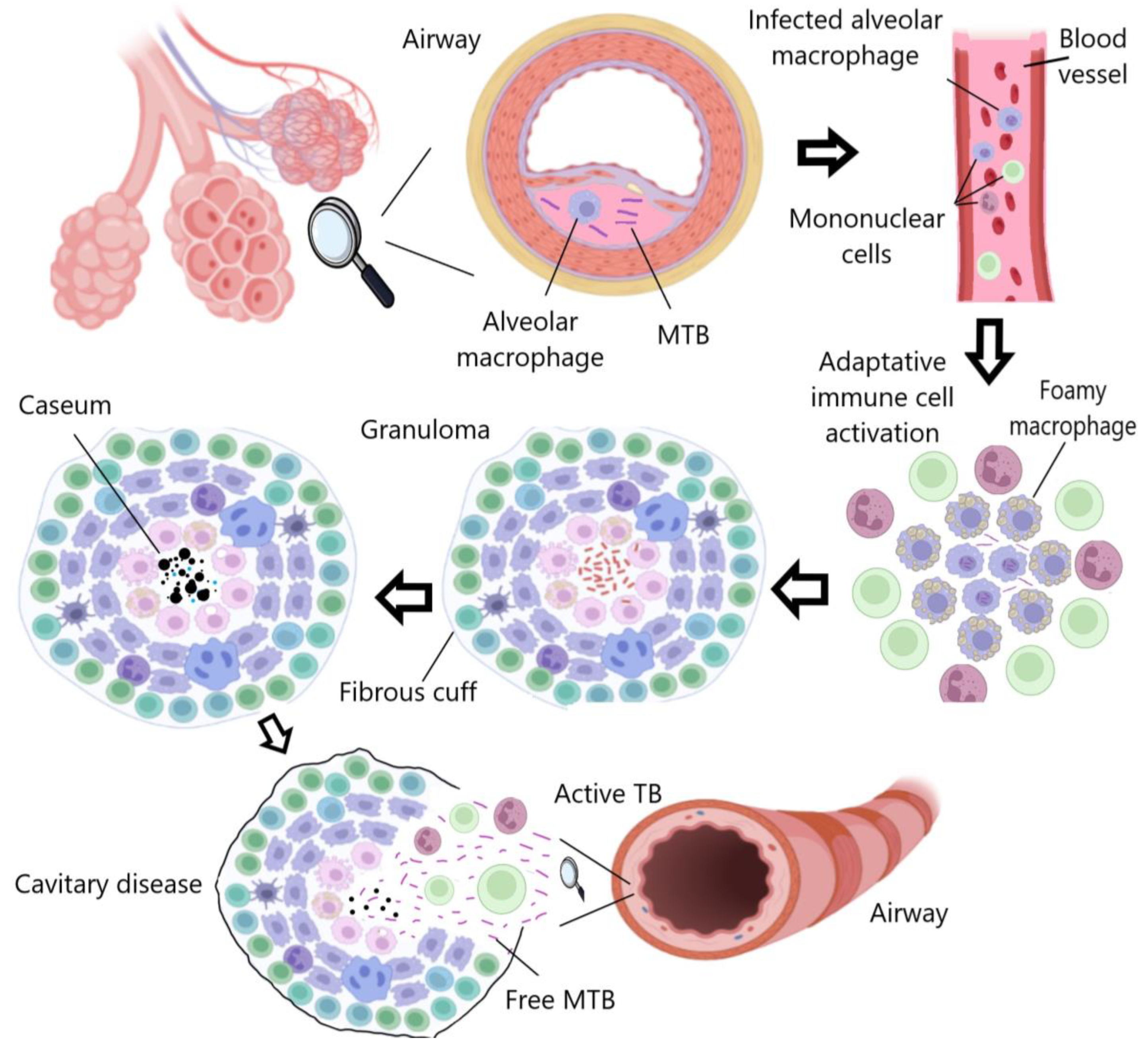 Pharmaceutics 15 02409 g001 Pharmaceutics 15 02409 g001