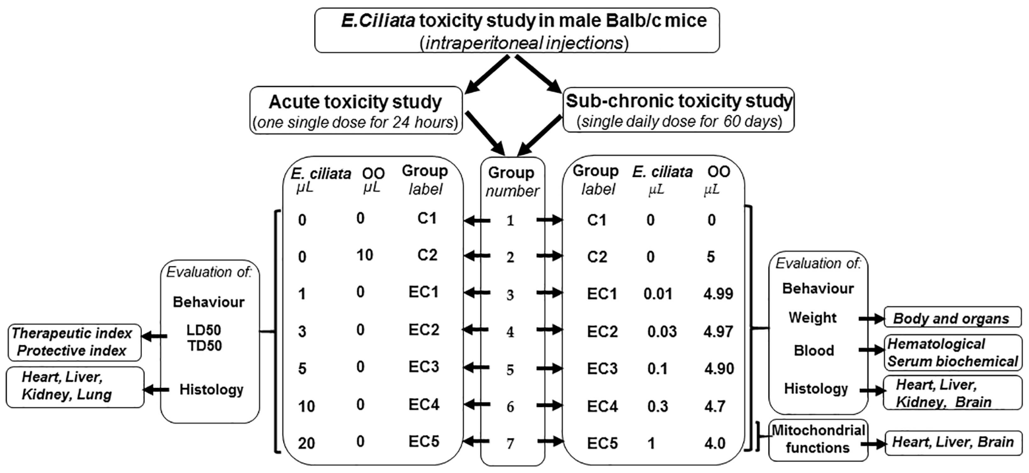 Acute and Sub-Chronic Intraperitoneal Toxicity Studies of the Elsholtzia  ciliata Herbal Extract in Balbc Mice