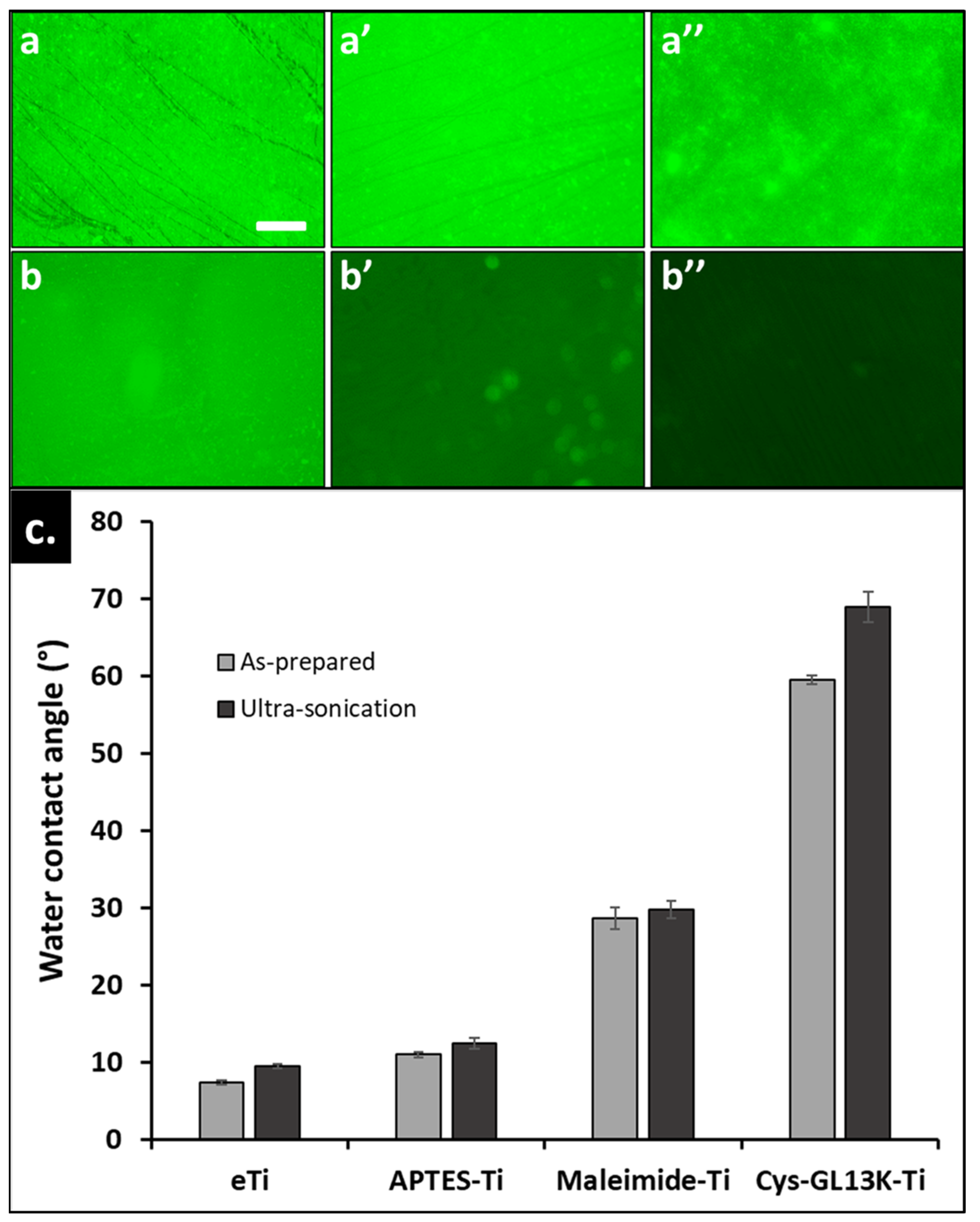Pharmaceutics 15 02418 g004