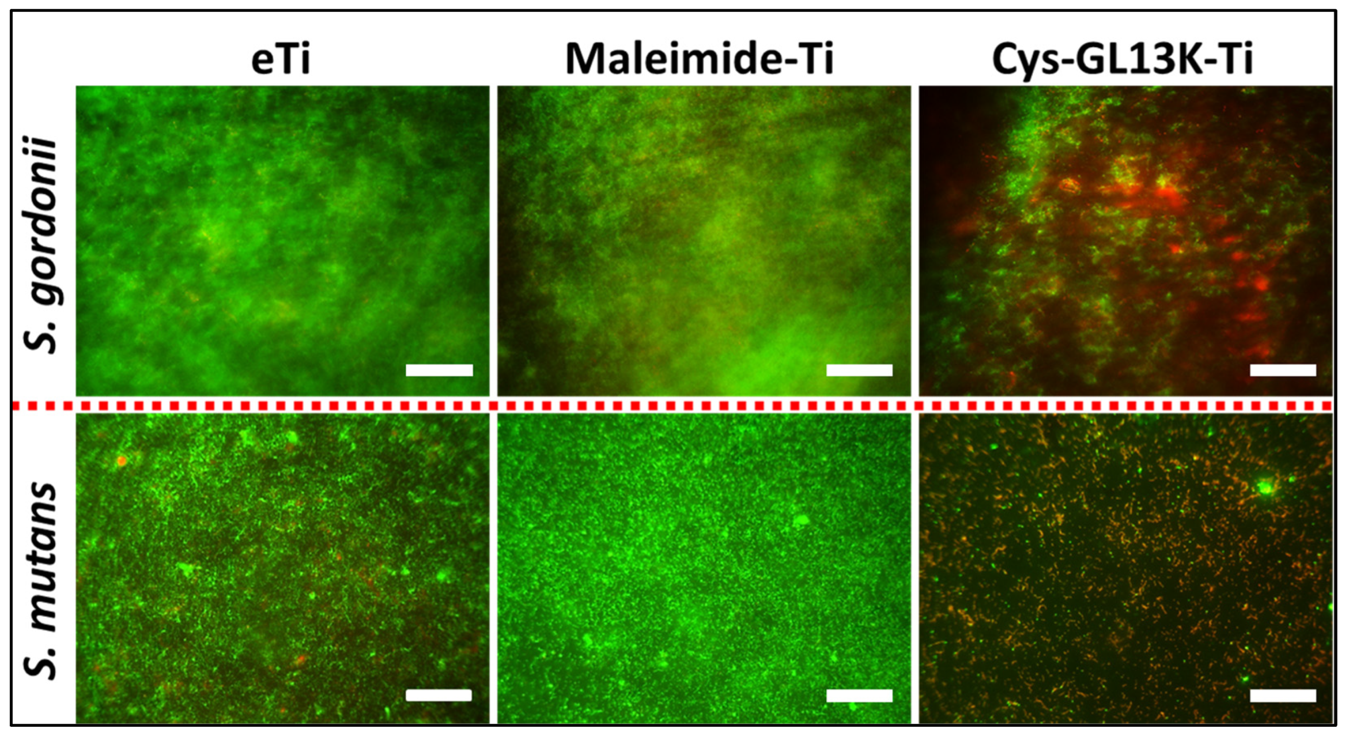 Pharmaceutics 15 02418 g006