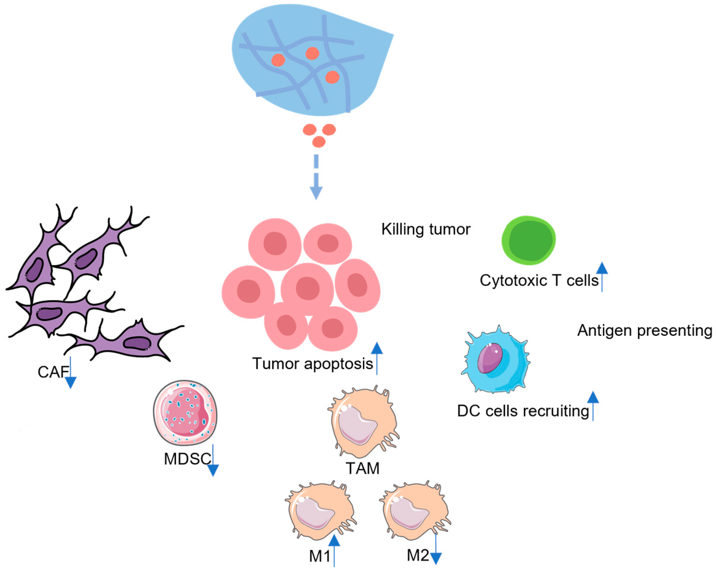 Pharmaceutics 15 02421 g001