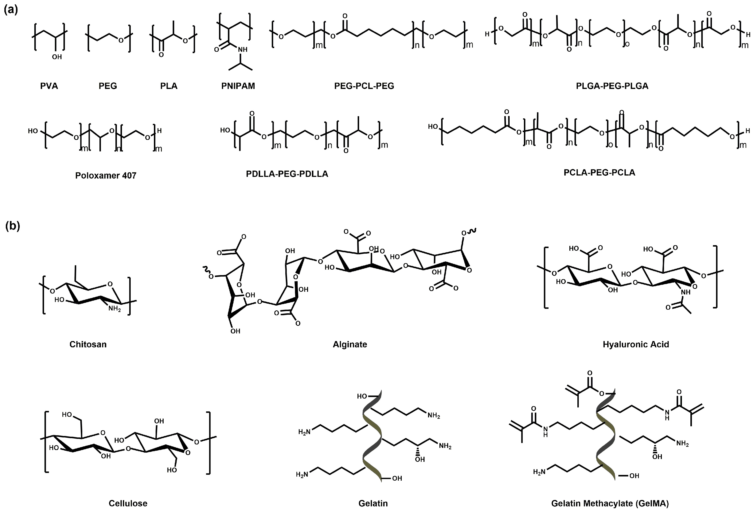 Pharmaceutics 15 02421 g003