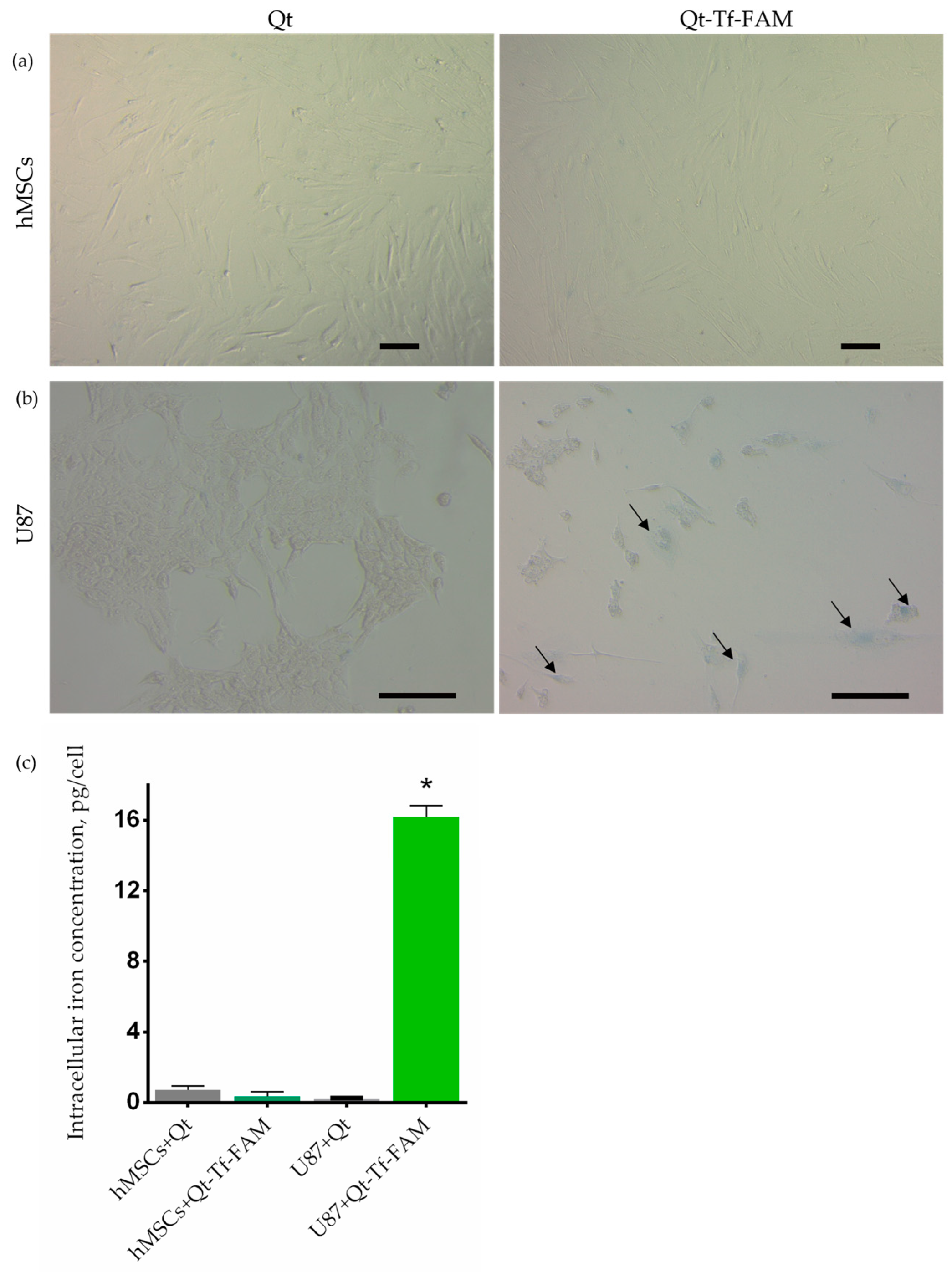 Pharmaceutics 15 02422 g005