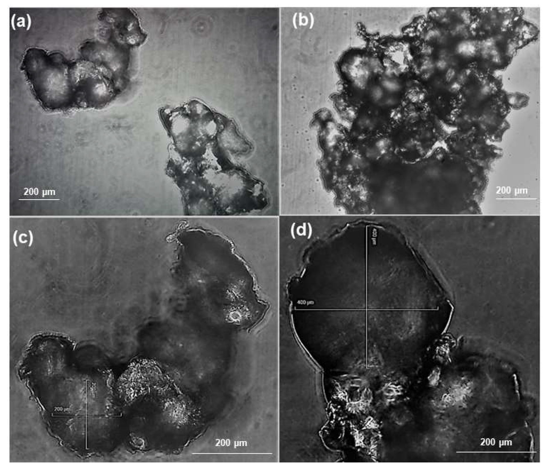 Pharmaceutics 15 02425 g002