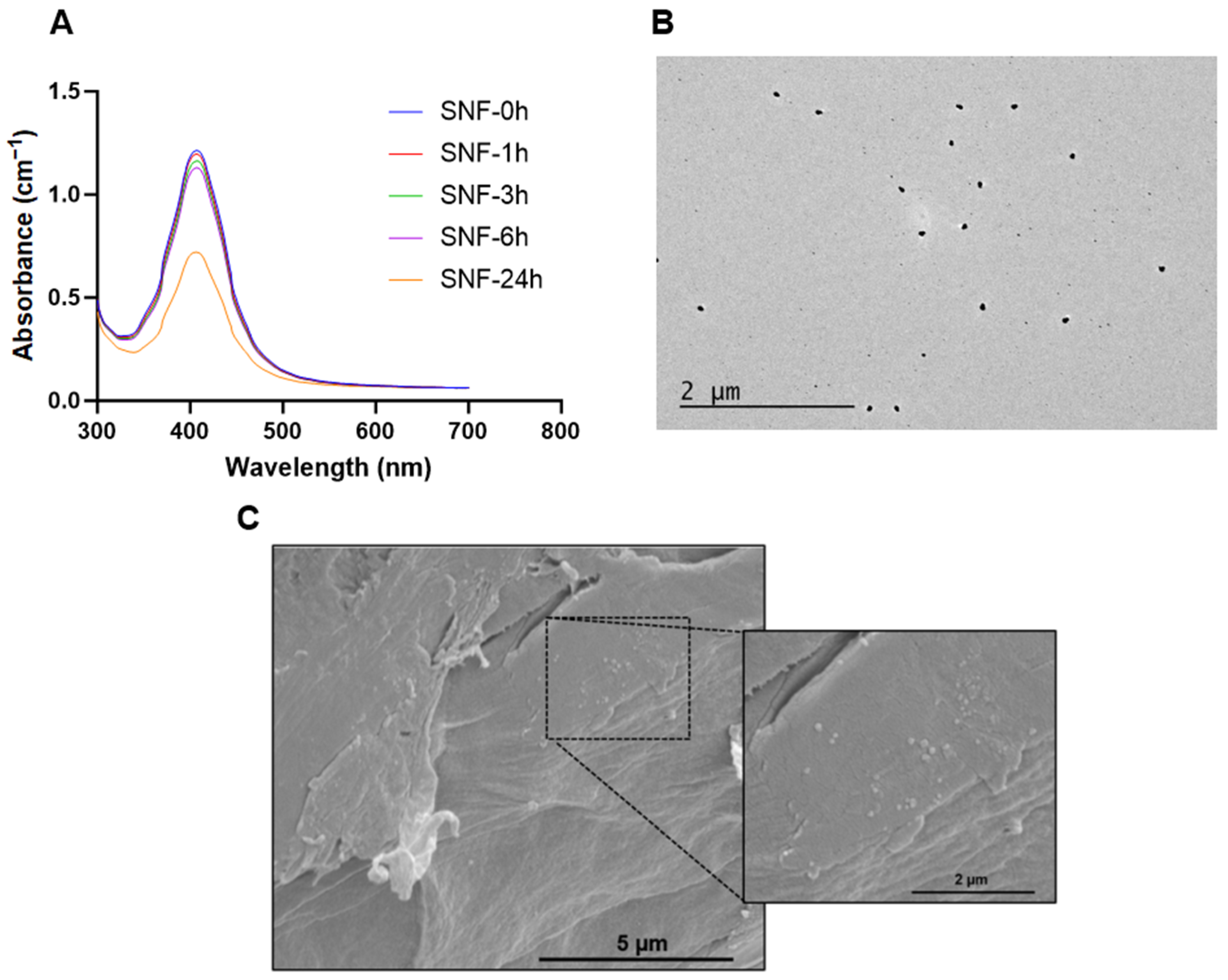 Pharmaceutics 15 02426 g008