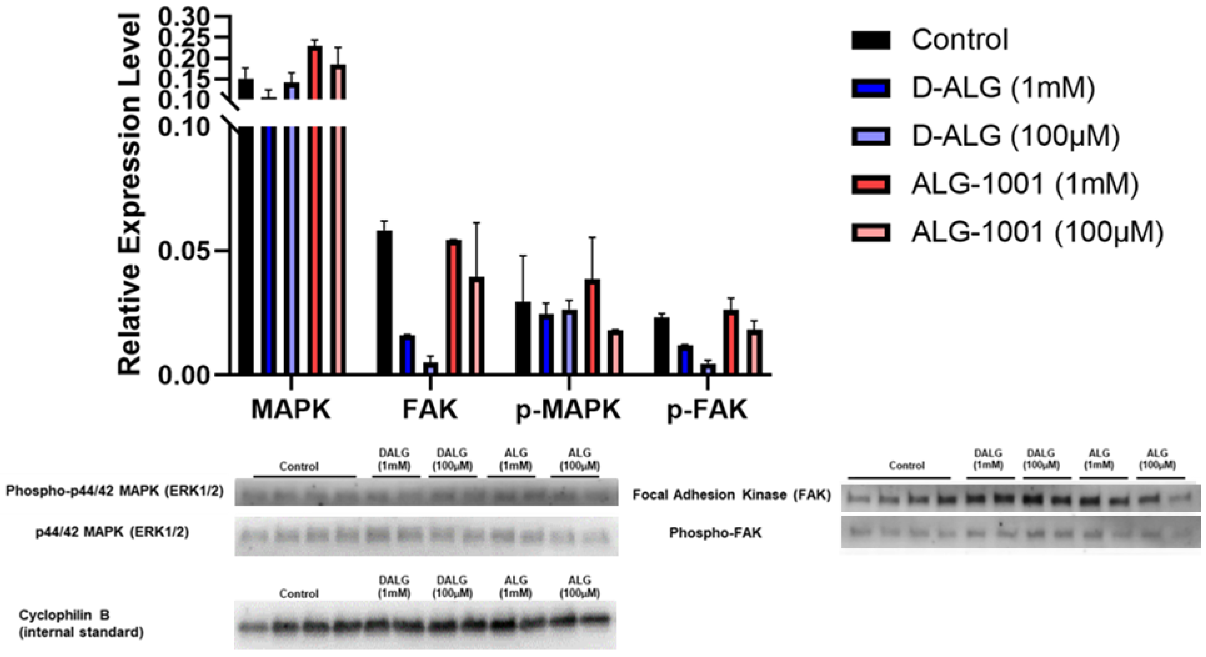 Pharmaceutics 15 02428 g004