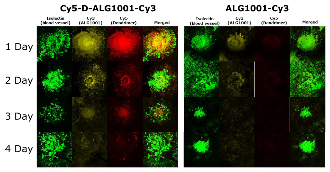 Pharmaceutics 15 02428 g006