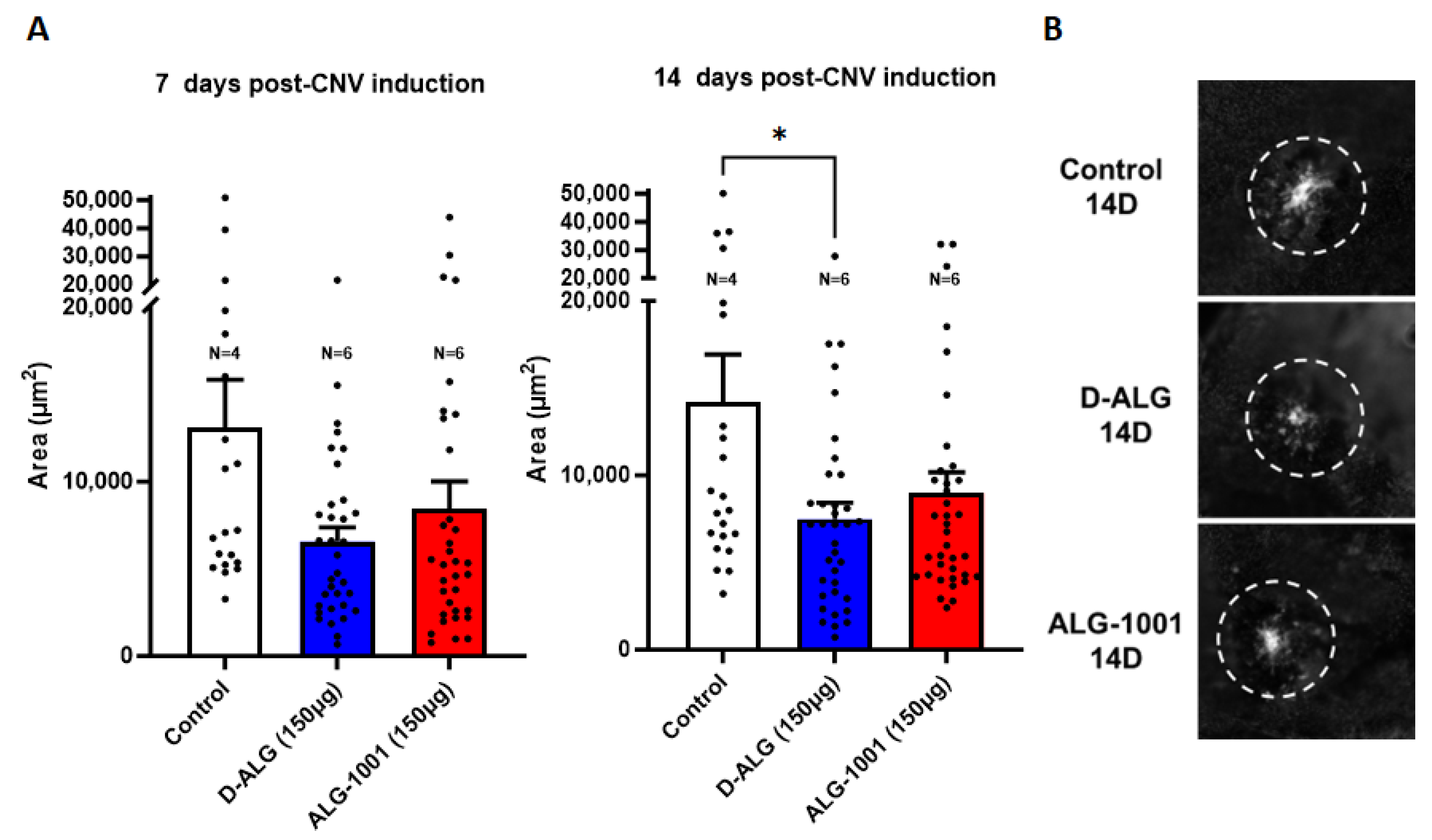 Pharmaceutics 15 02428 g008