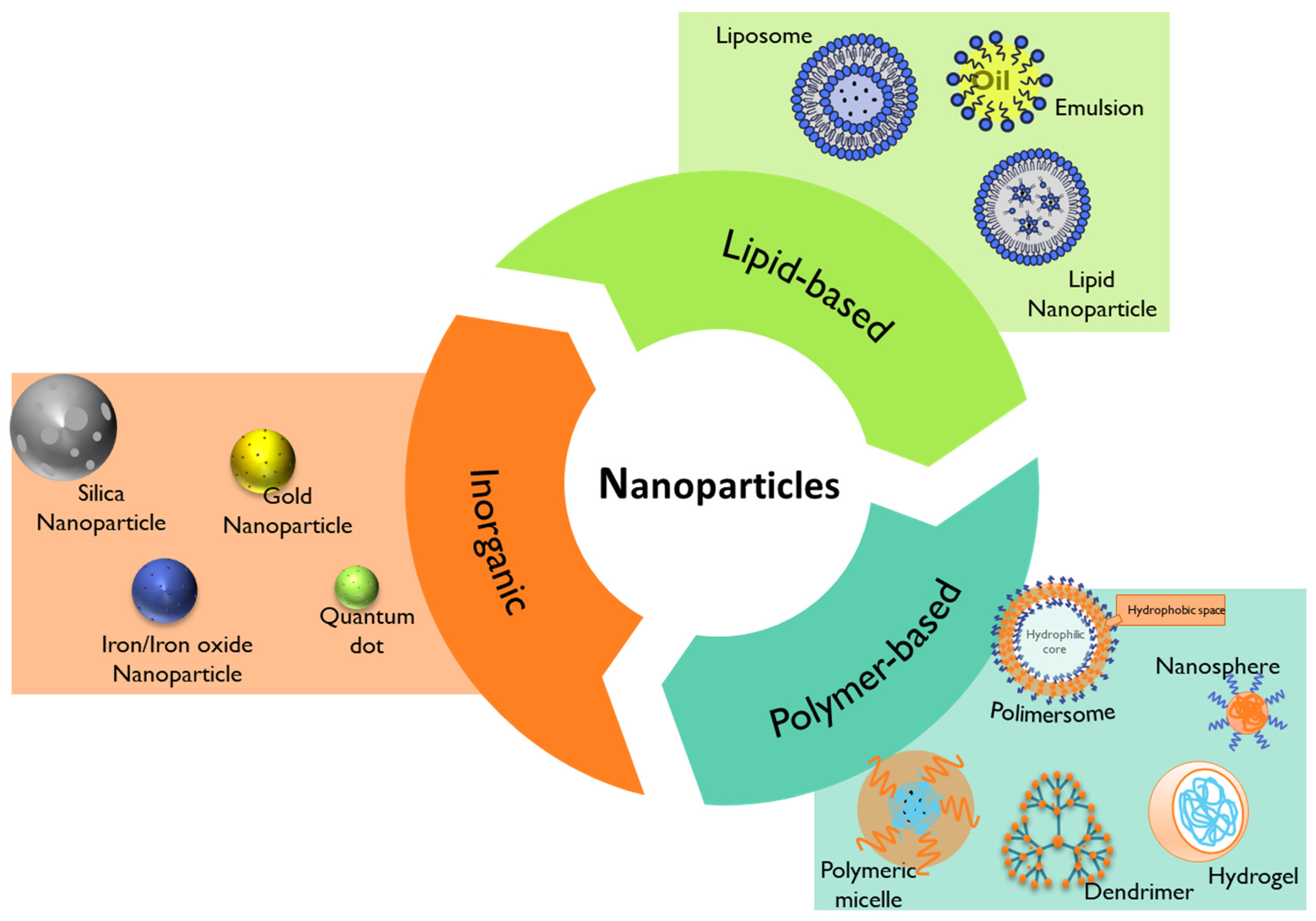 Pharmaceutics 15 02431 g007