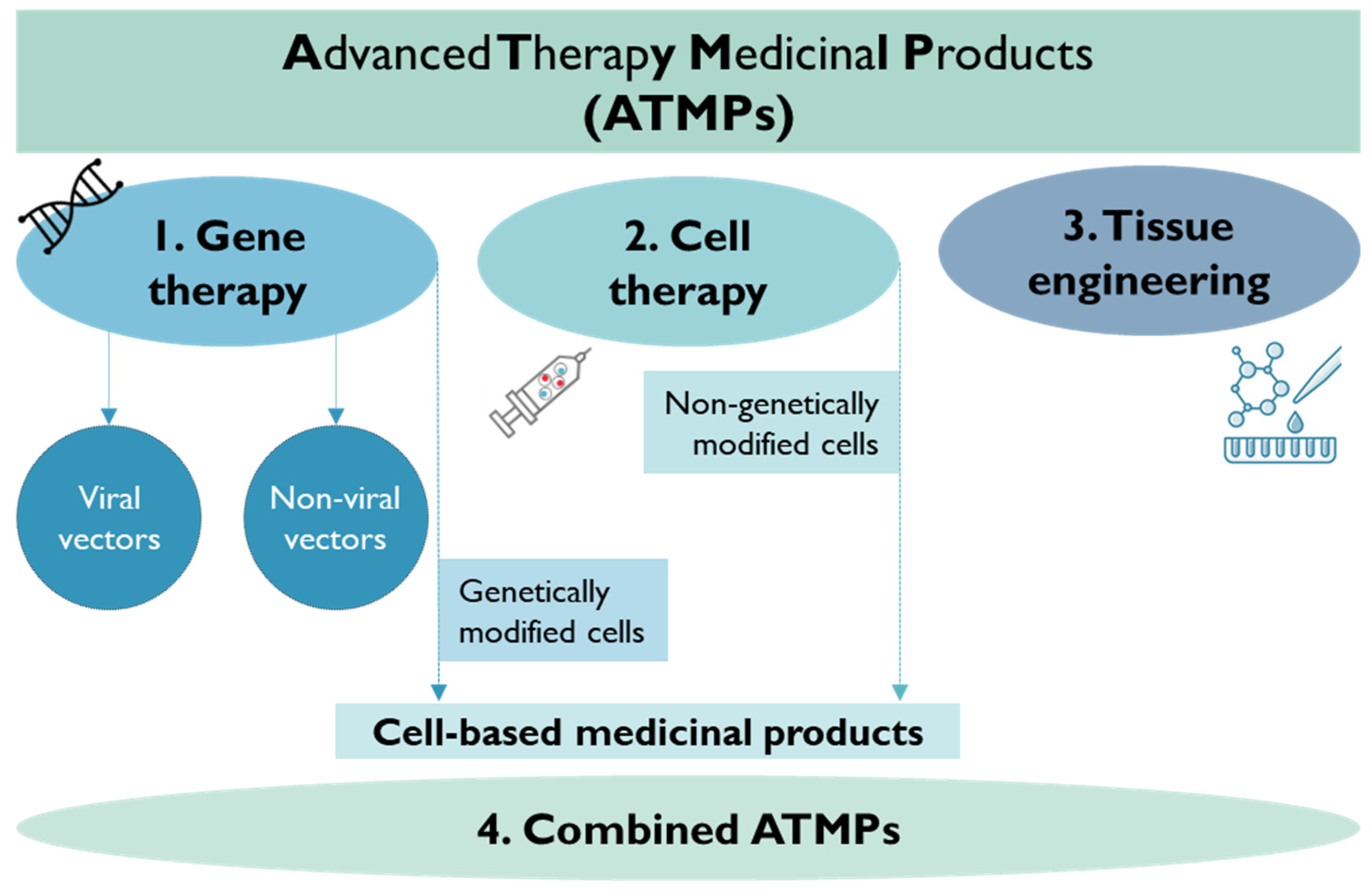 Pharmaceutics 15 02431 g011
