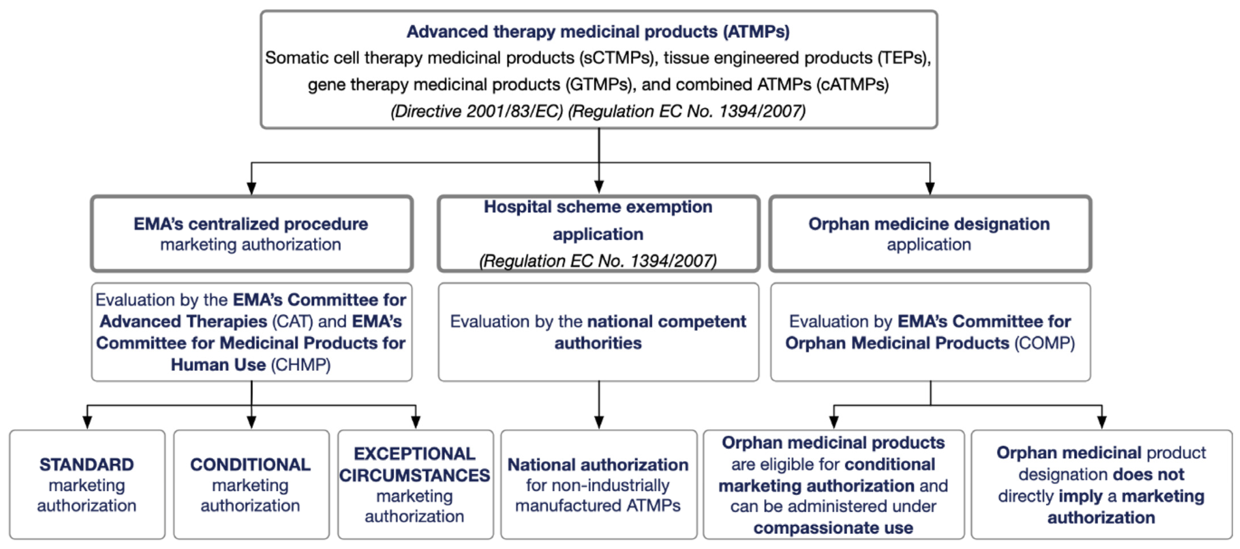 Pharmaceutics 15 02431 g012