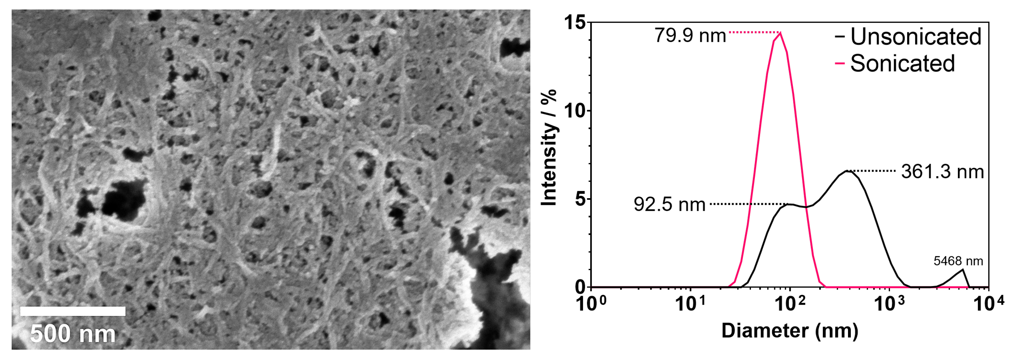 Pharmaceutics 15 02432 g001