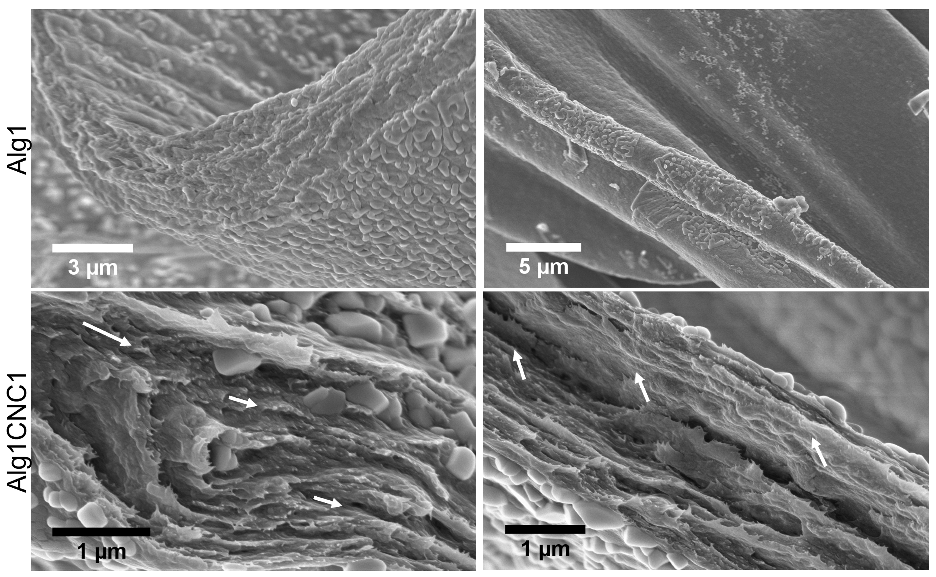 Pharmaceutics 15 02432 g005