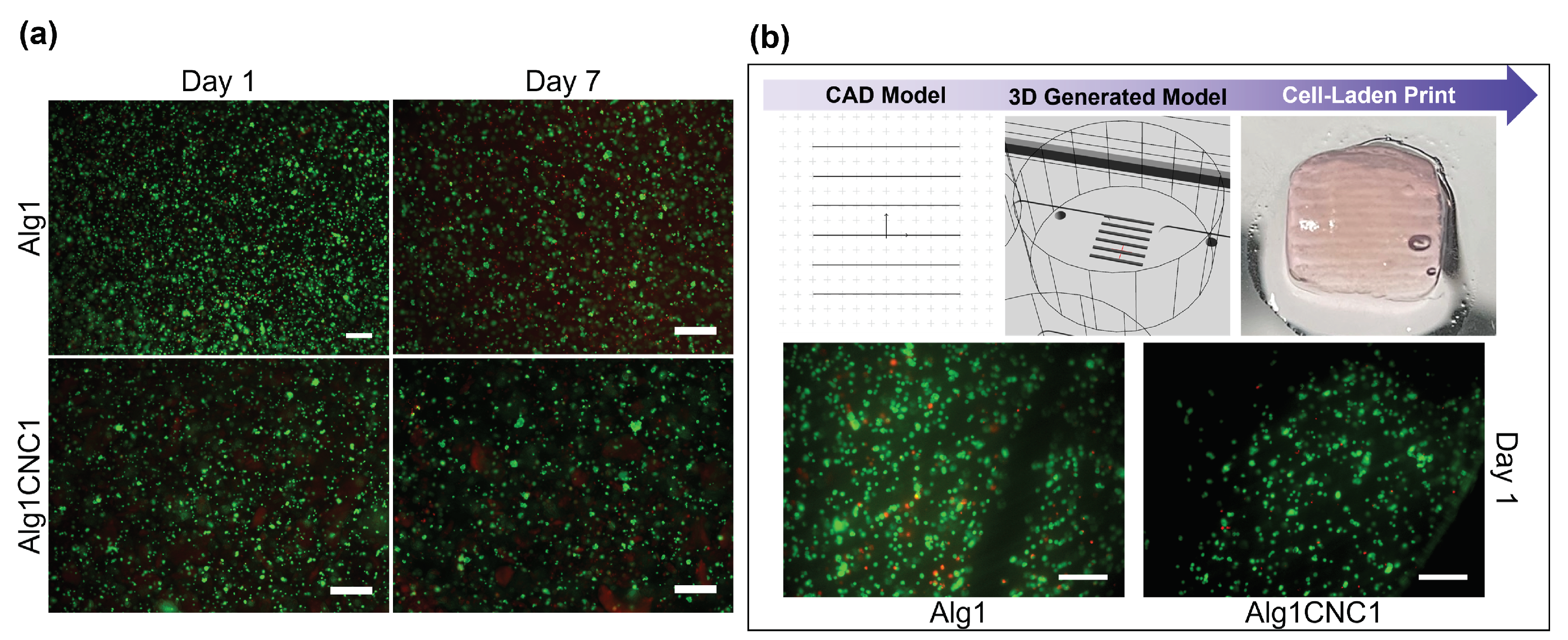 Pharmaceutics 15 02432 g006