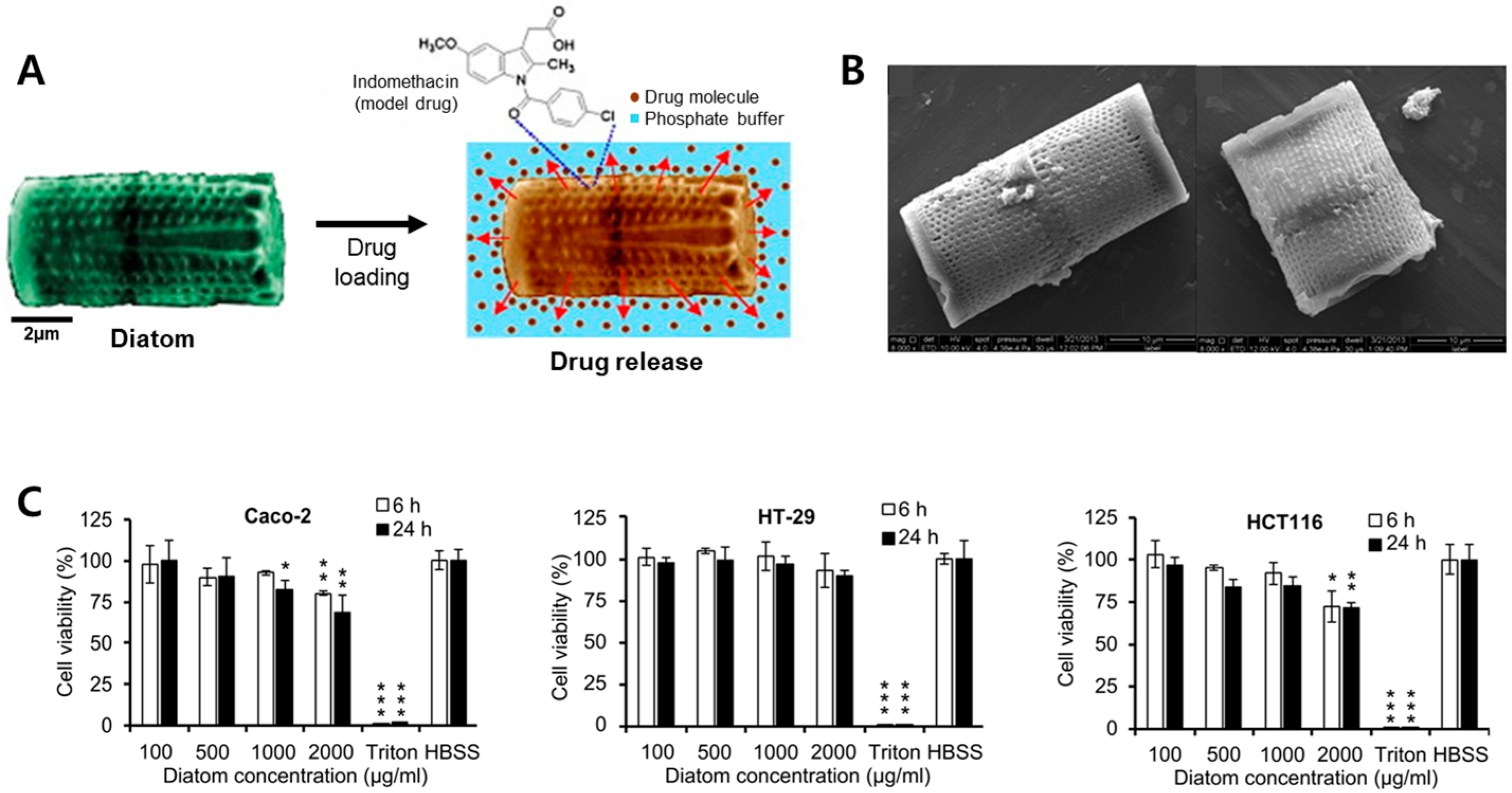 Pharmaceutics 15 02434 g004 Pharmaceutics 15 02434 g004