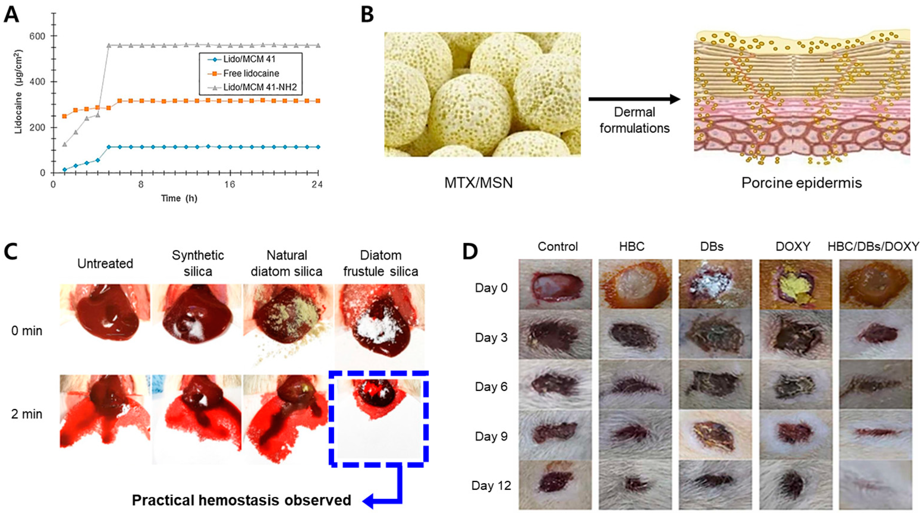 Pharmaceutics 15 02434 g005 Pharmaceutics 15 02434 g005