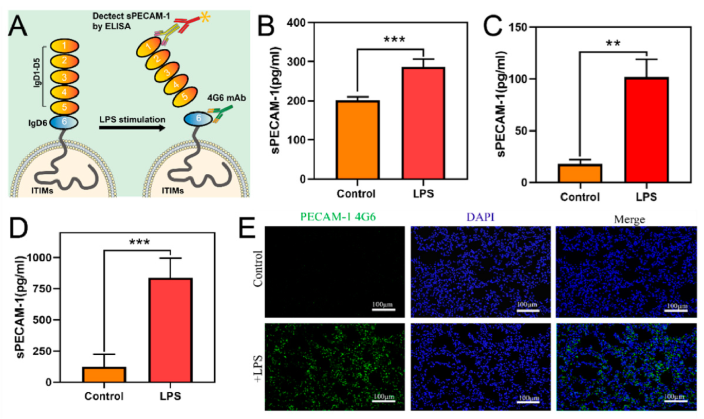Pharmaceutics 15 02435 g002